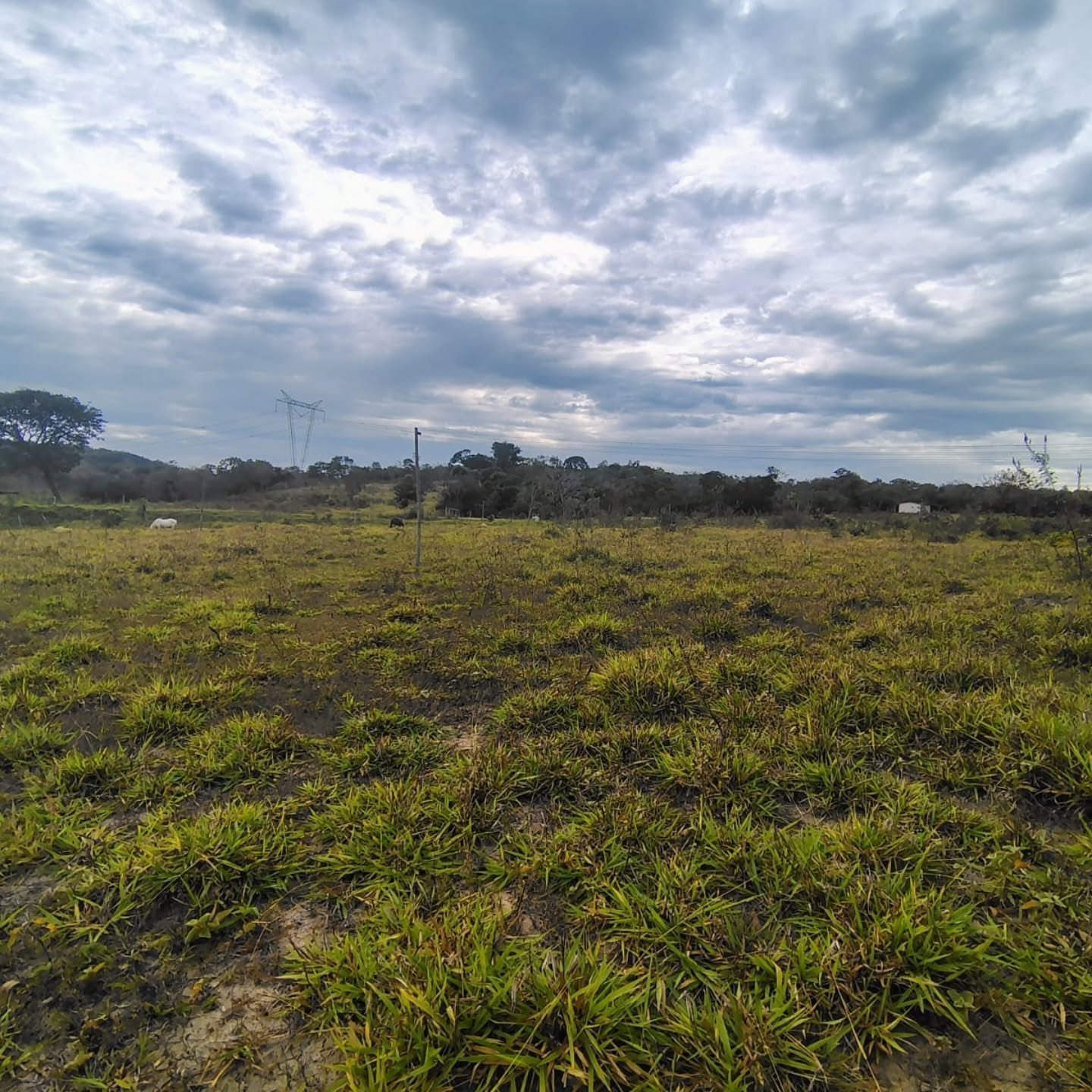 OPORTUNIDADE IMPERDÍVEL EM GOIANDIRA – GO | Goiandira-GO | 22 hectares - Goiandira-GO