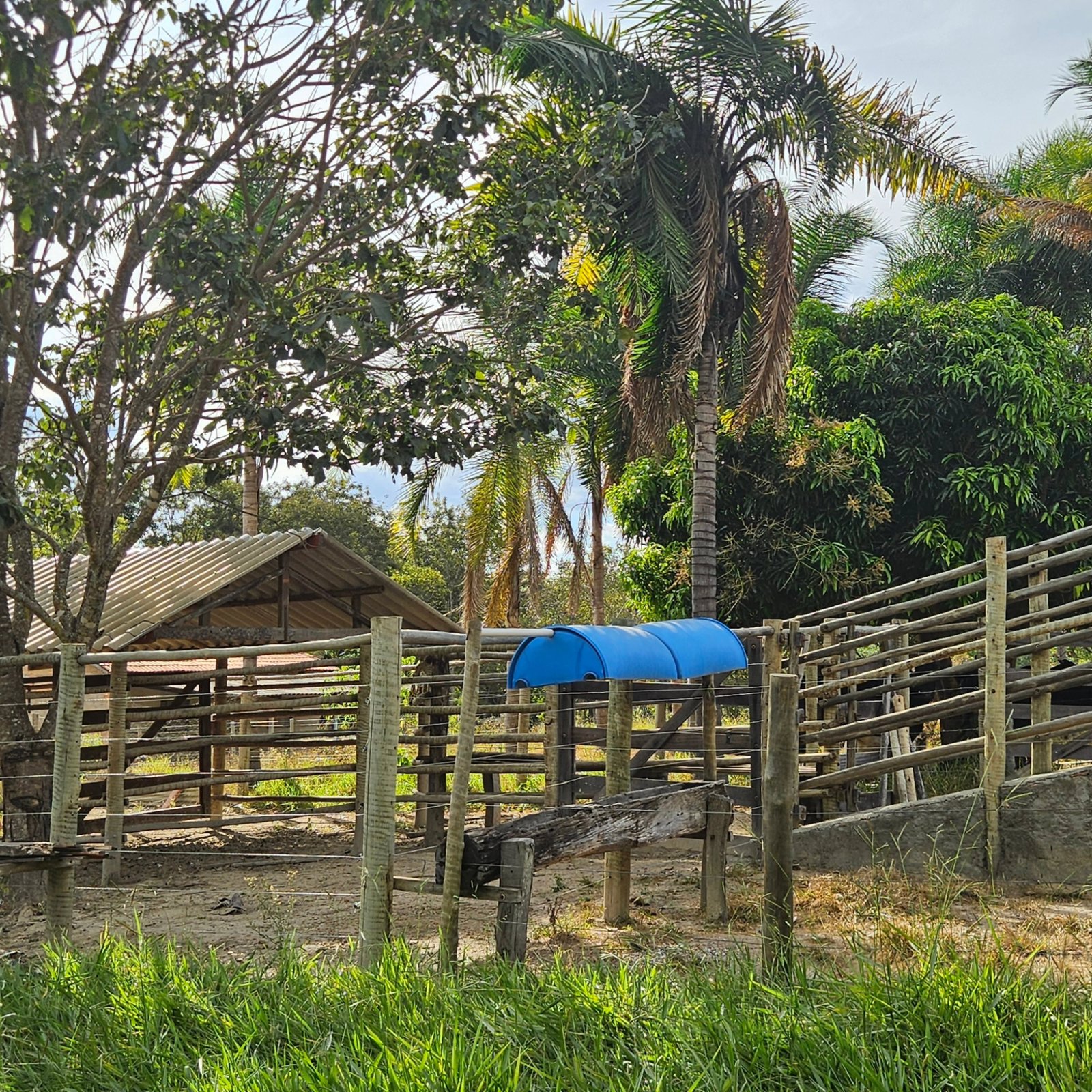 CHÁCARA À VENDA – GOIANDIRA/GO | Catalão-GO | 5,99 hectares - Catalão-GO