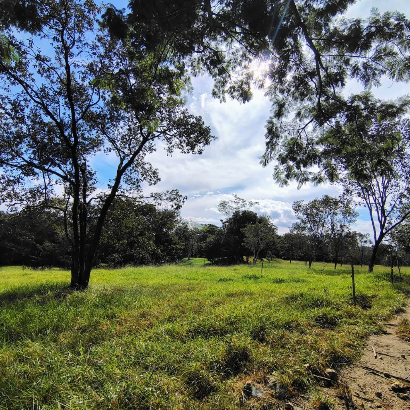 CHÁCARA À VENDA – GOIANDIRA/GO | Catalão-GO | 5,99 hectares - Catalão-GO