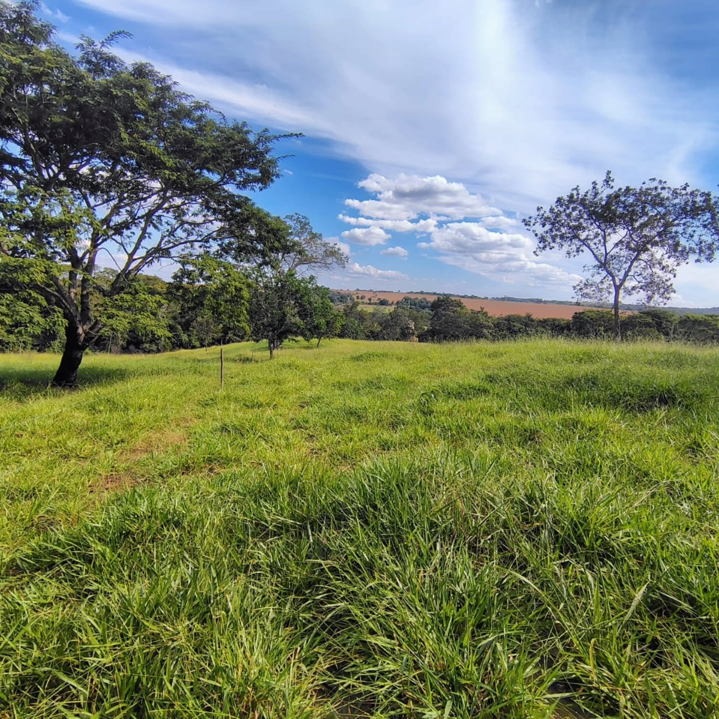 CHÁCARA À VENDA – GOIANDIRA/GO | Catalão-GO | 5,99 hectares - Catalão-GO