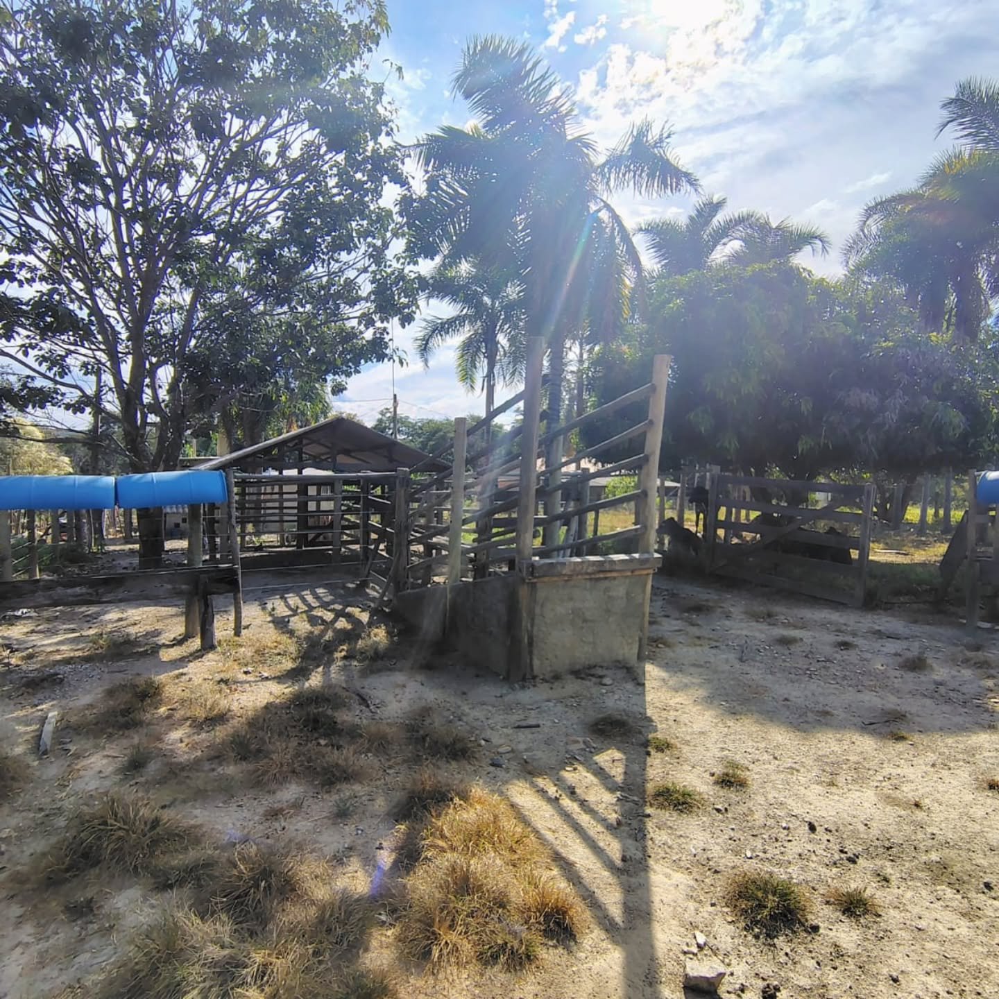 CHÁCARA À VENDA – GOIANDIRA/GO | Catalão-GO | 5,99 hectares - Catalão-GO