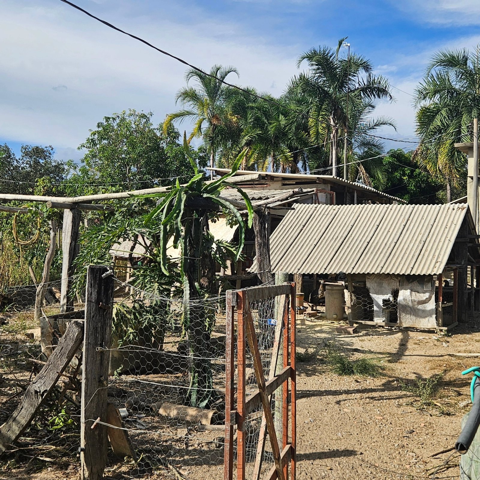 CHÁCARA À VENDA – GOIANDIRA/GO | Catalão-GO | 5,99 hectares - Catalão-GO
