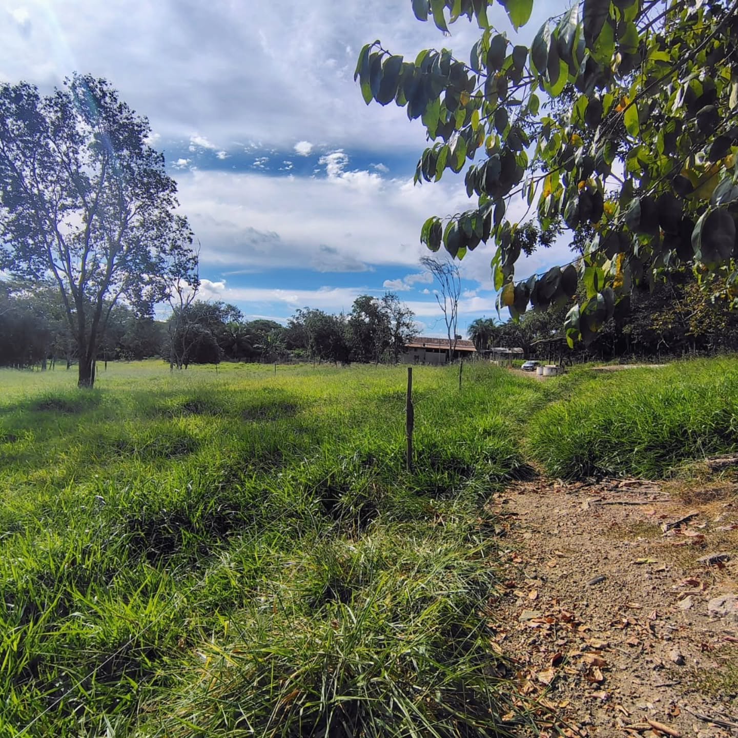 CHÁCARA À VENDA – GOIANDIRA/GO | Catalão-GO | 5,99 hectares - Catalão-GO