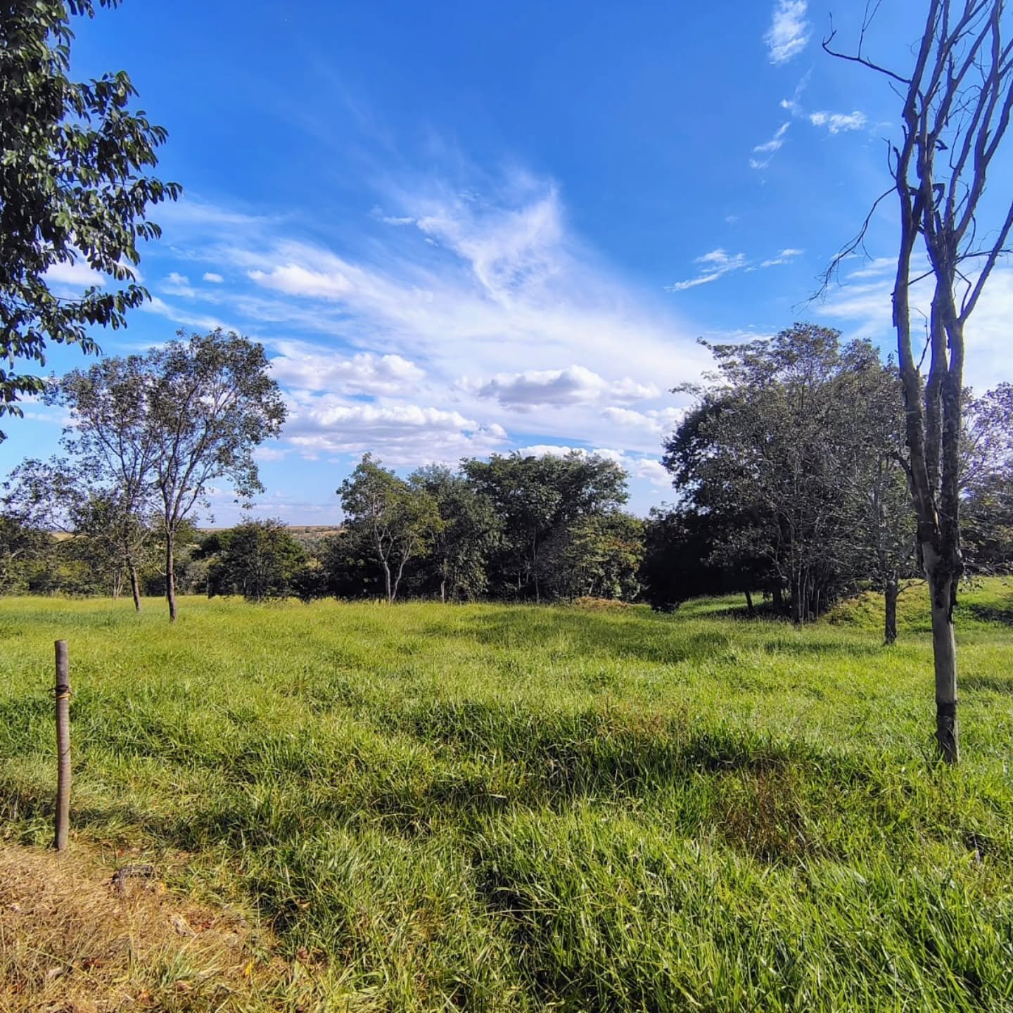 CHÁCARA À VENDA – GOIANDIRA/GO | Catalão-GO | 5,99 hectares - Catalão-GO