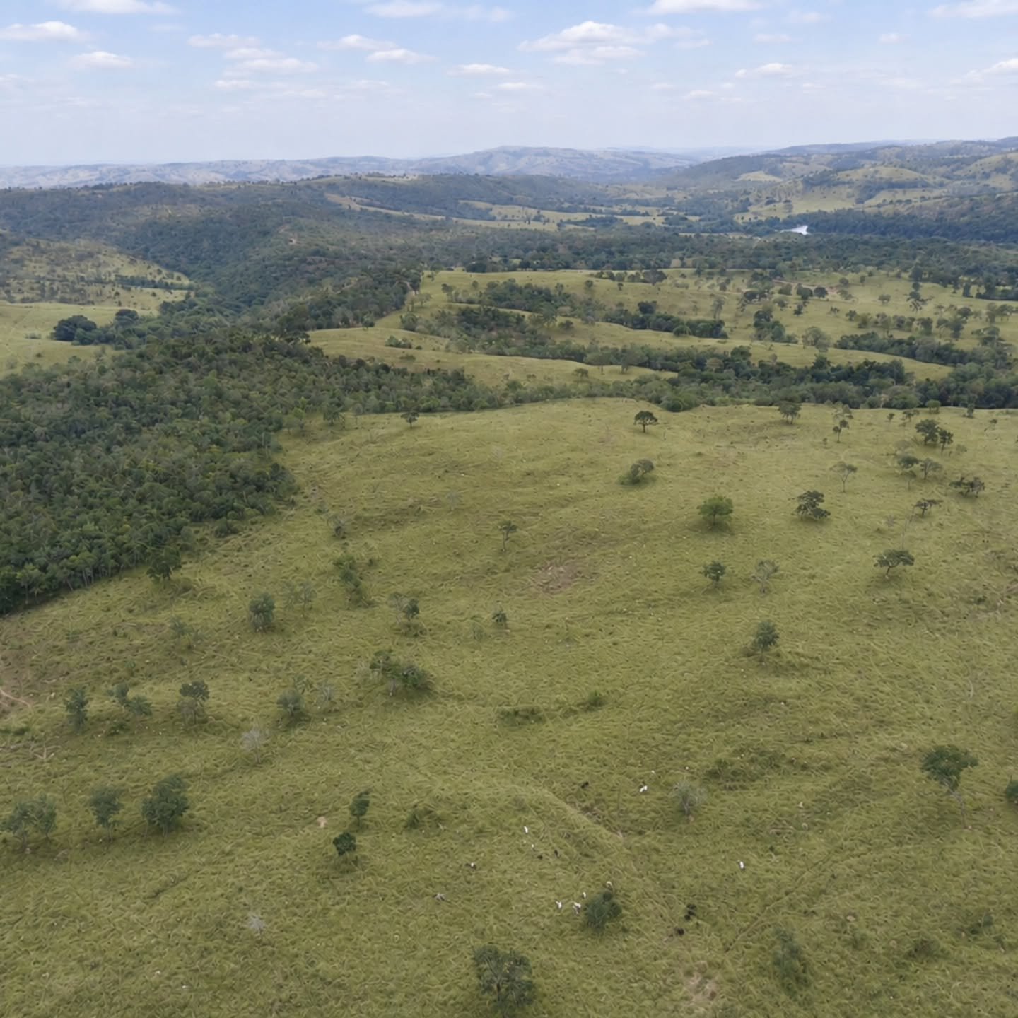 Chácara à venda às margens do Rio São Marcos | Ouvidor-GO | 43,56 hectares - Ouvidor-GO