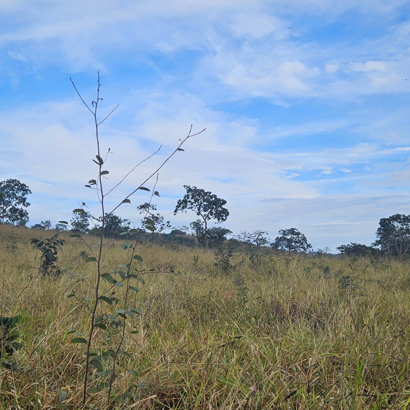 Chácara à venda às margens do Rio São Marcos | Ouvidor-GO | 43,56 hectares - Ouvidor-GO