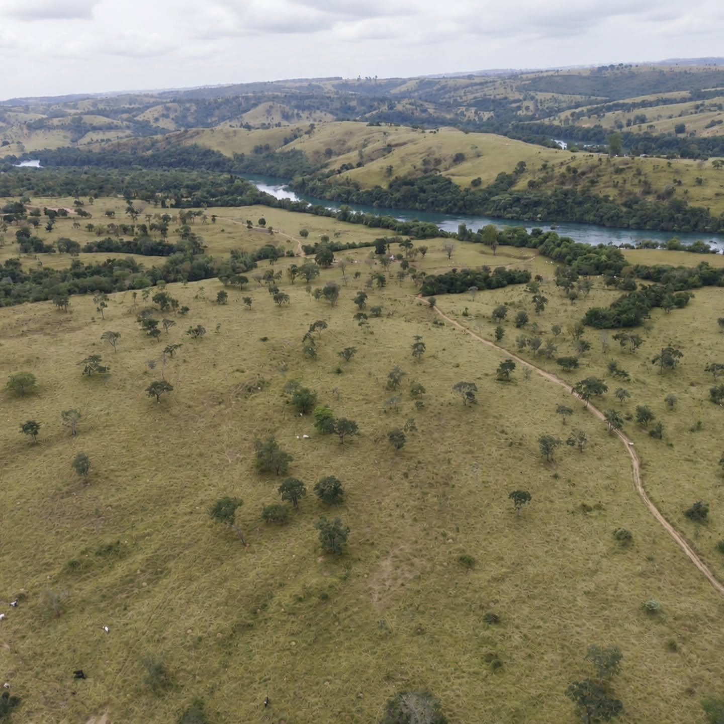 Chácara à venda às margens do Rio São Marcos | Ouvidor-GO | 43,56 hectares - Ouvidor-GO