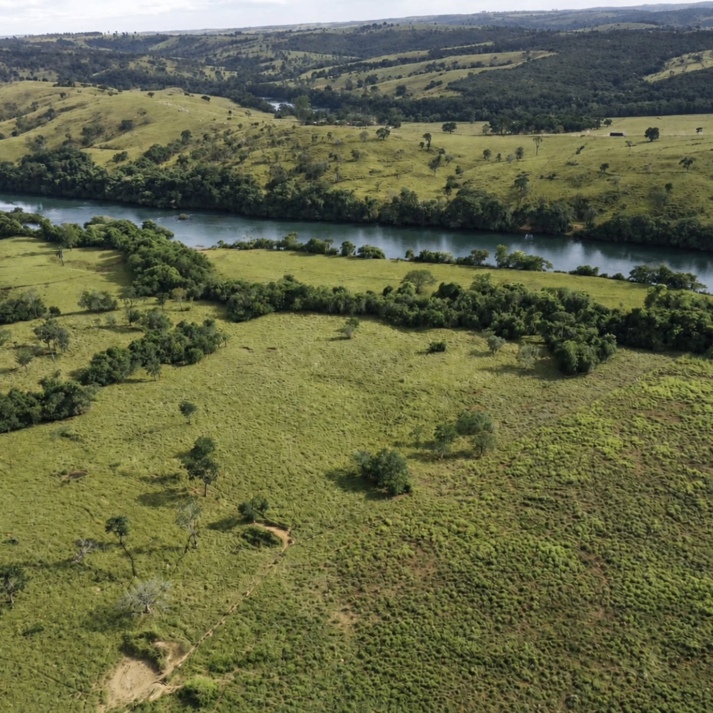 Chácara à venda às margens do Rio São Marcos | Ouvidor-GO | 43,56 hectares - Ouvidor-GO