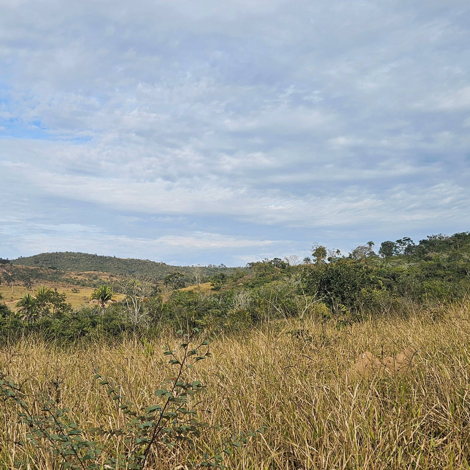 Chácara à venda às margens do Rio São Marcos | Ouvidor-GO | 43,56 hectares - Ouvidor-GO