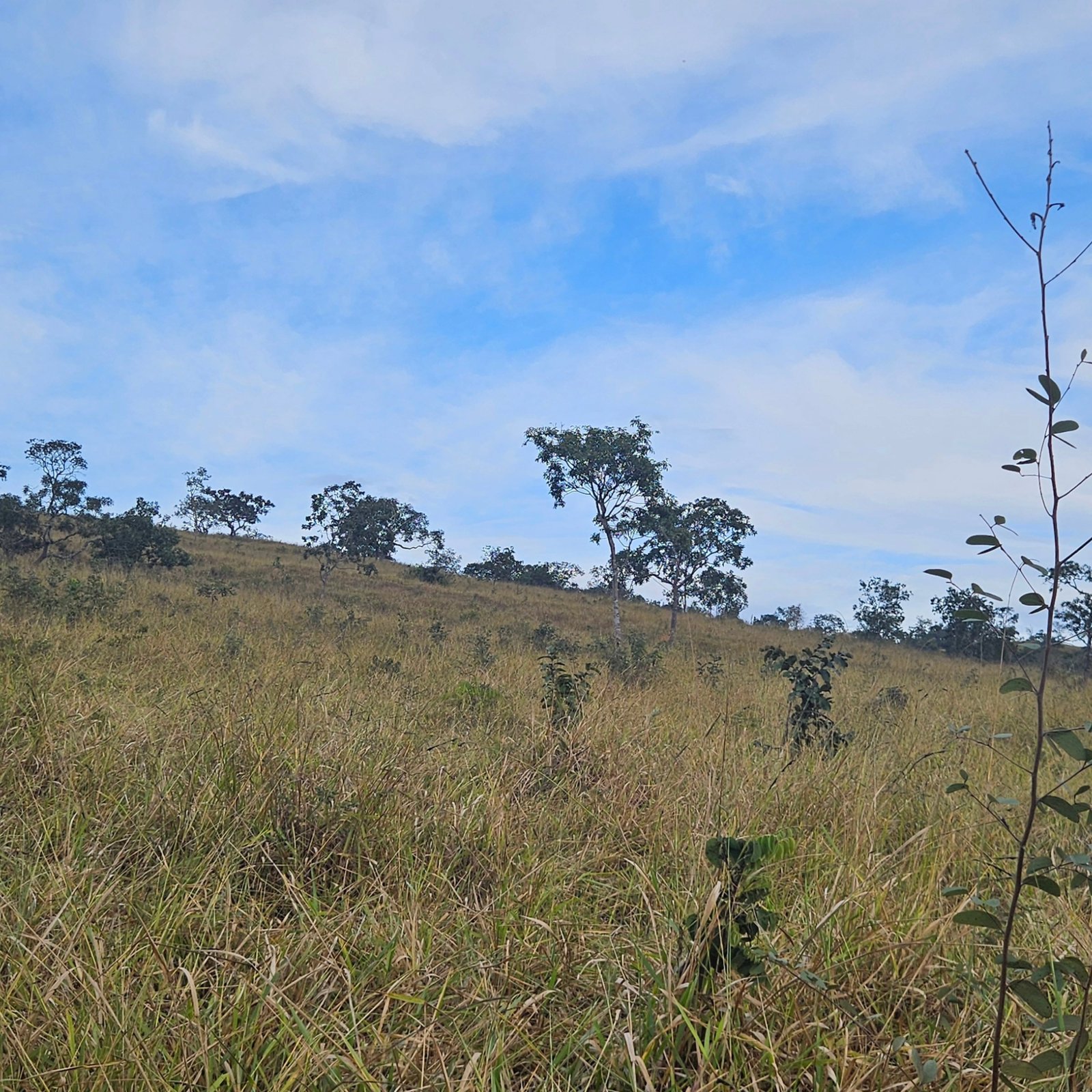 Chácara à venda às margens do Rio São Marcos | Ouvidor-GO | 43,56 hectares - Ouvidor-GO