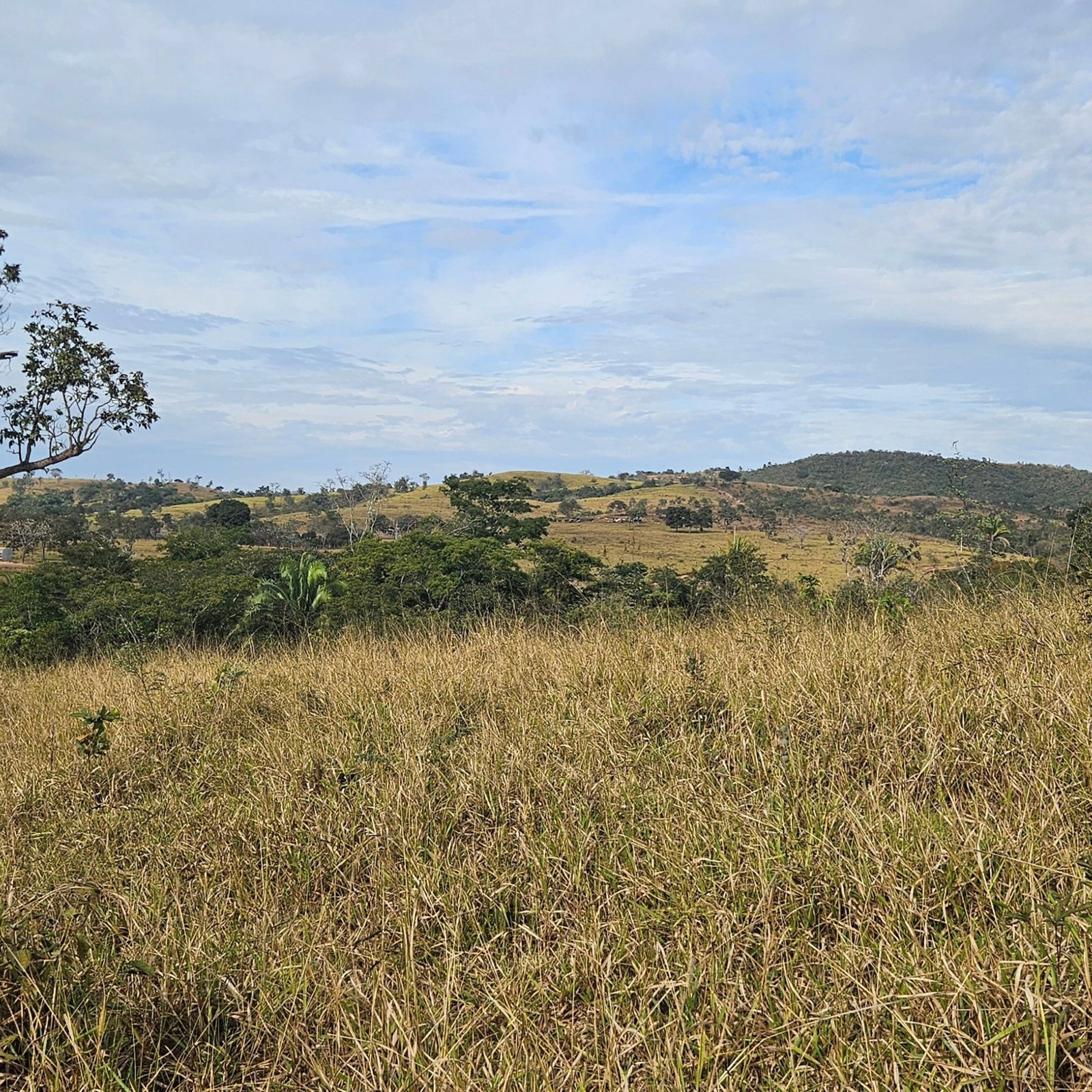 Chácara à venda às margens do Rio São Marcos | Ouvidor-GO | 43,56 hectares - Ouvidor-GO