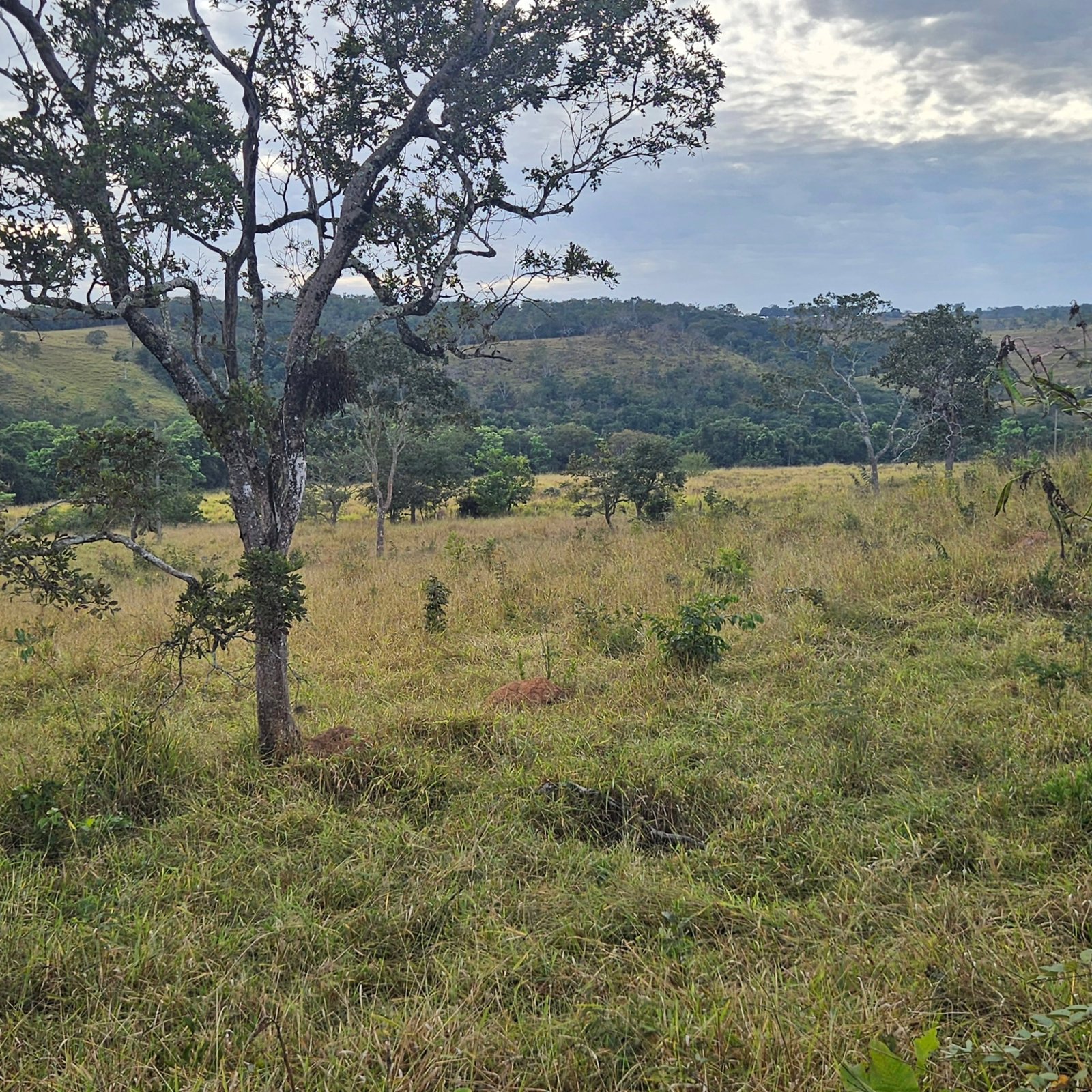 Chácara à venda às margens do Rio São Marcos | Ouvidor-GO | 43,56 hectares - Ouvidor-GO
