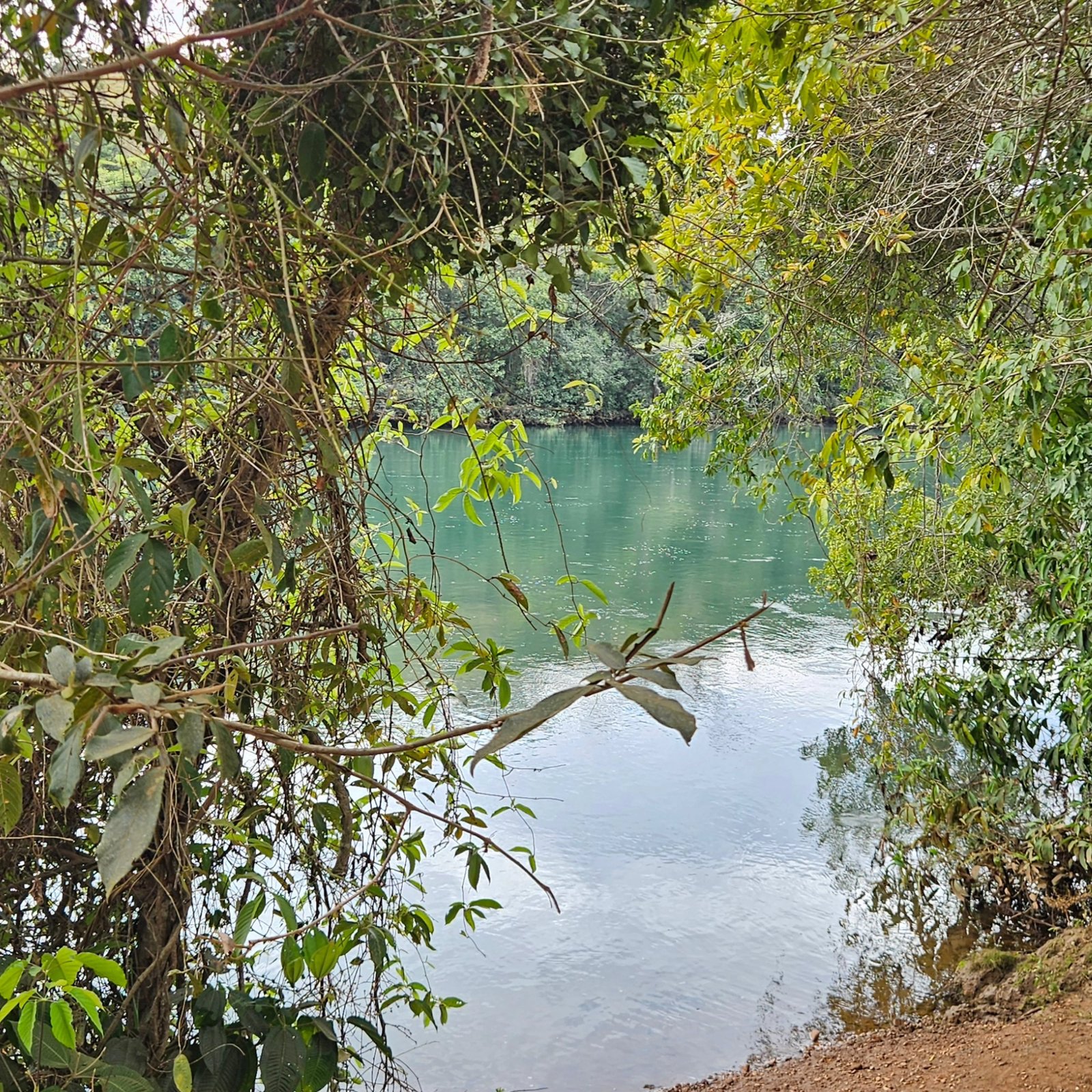 Chácara à venda às margens do Rio São Marcos | Ouvidor-GO | 43,56 hectares - Ouvidor-GO