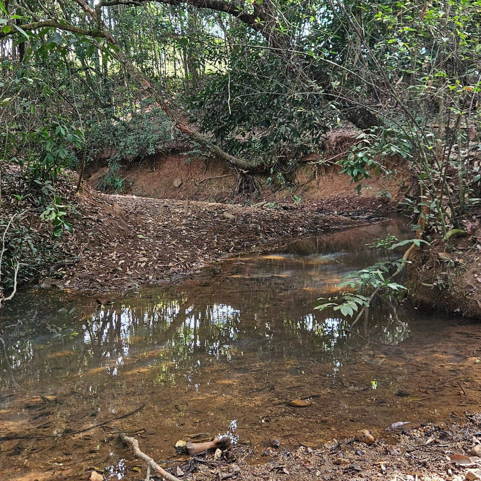 Chácara à venda às margens do Rio São Marcos | Ouvidor-GO | 43,56 hectares - Ouvidor-GO