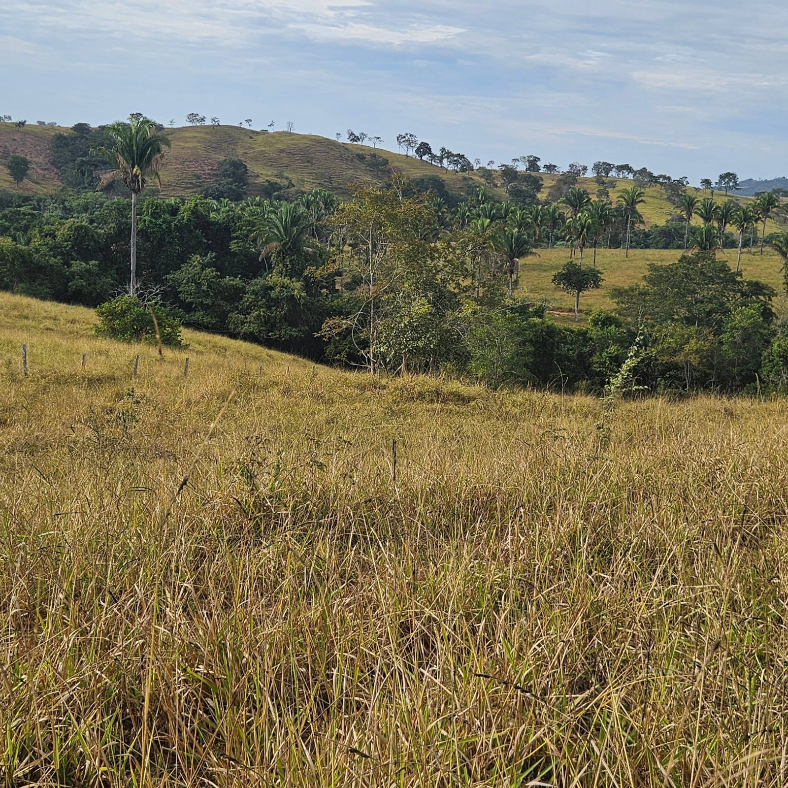 Chácara à venda às margens do Rio São Marcos | Ouvidor-GO | 43,56 hectares - Ouvidor-GO