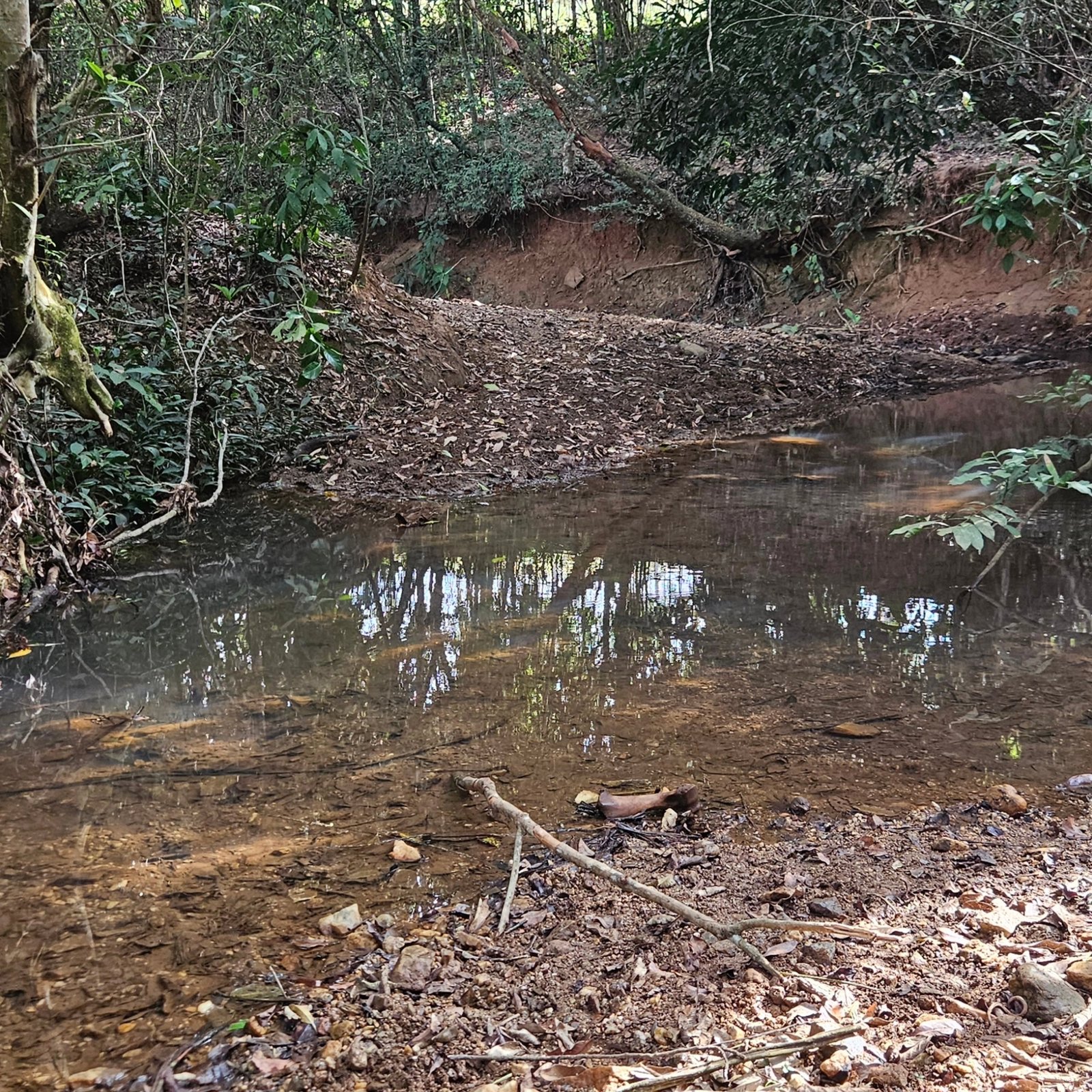 Chácara à venda às margens do Rio São Marcos | Ouvidor-GO | 43,56 hectares - Ouvidor-GO