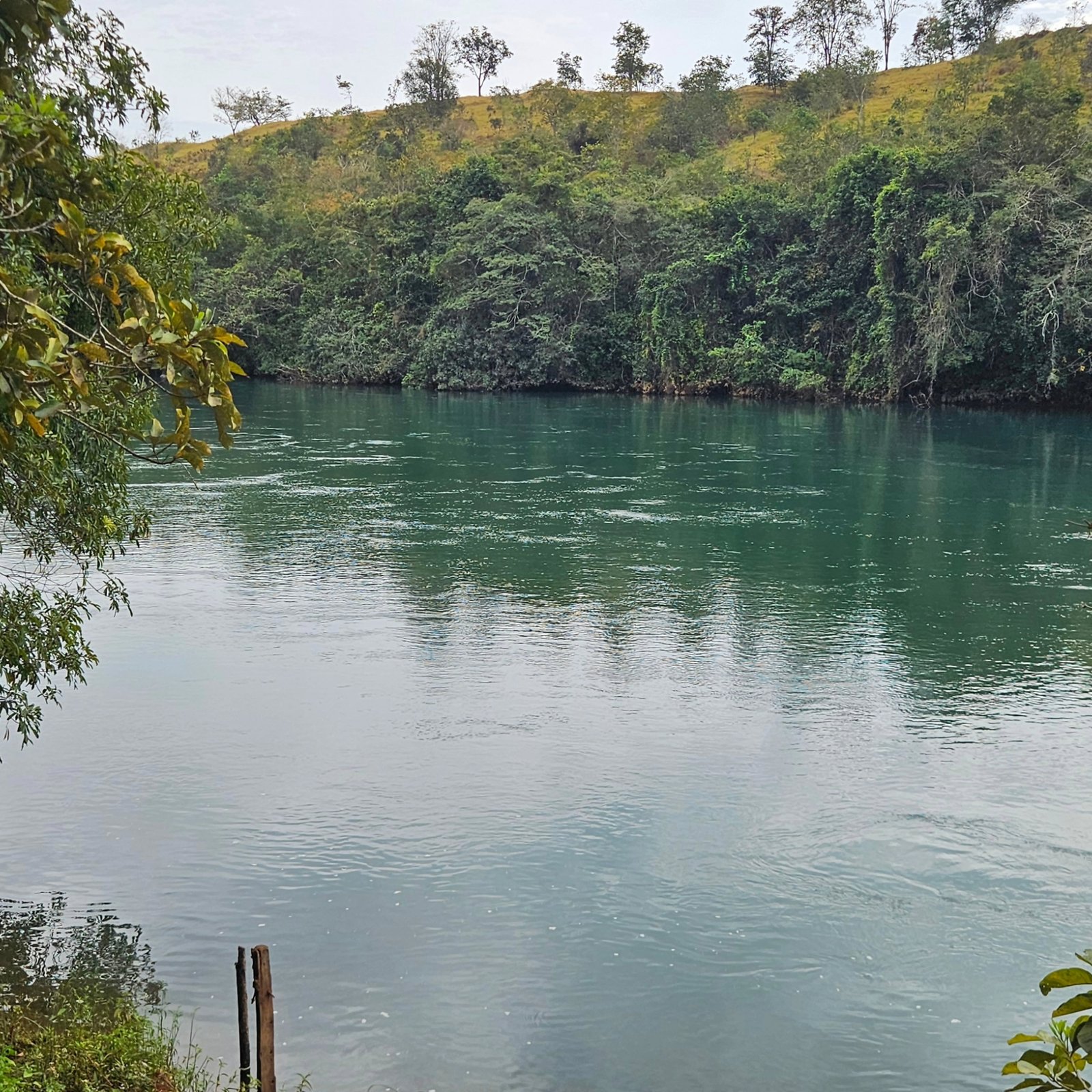Chácara à venda às margens do Rio São Marcos | Ouvidor-GO | 43,56 hectares - Ouvidor-GO