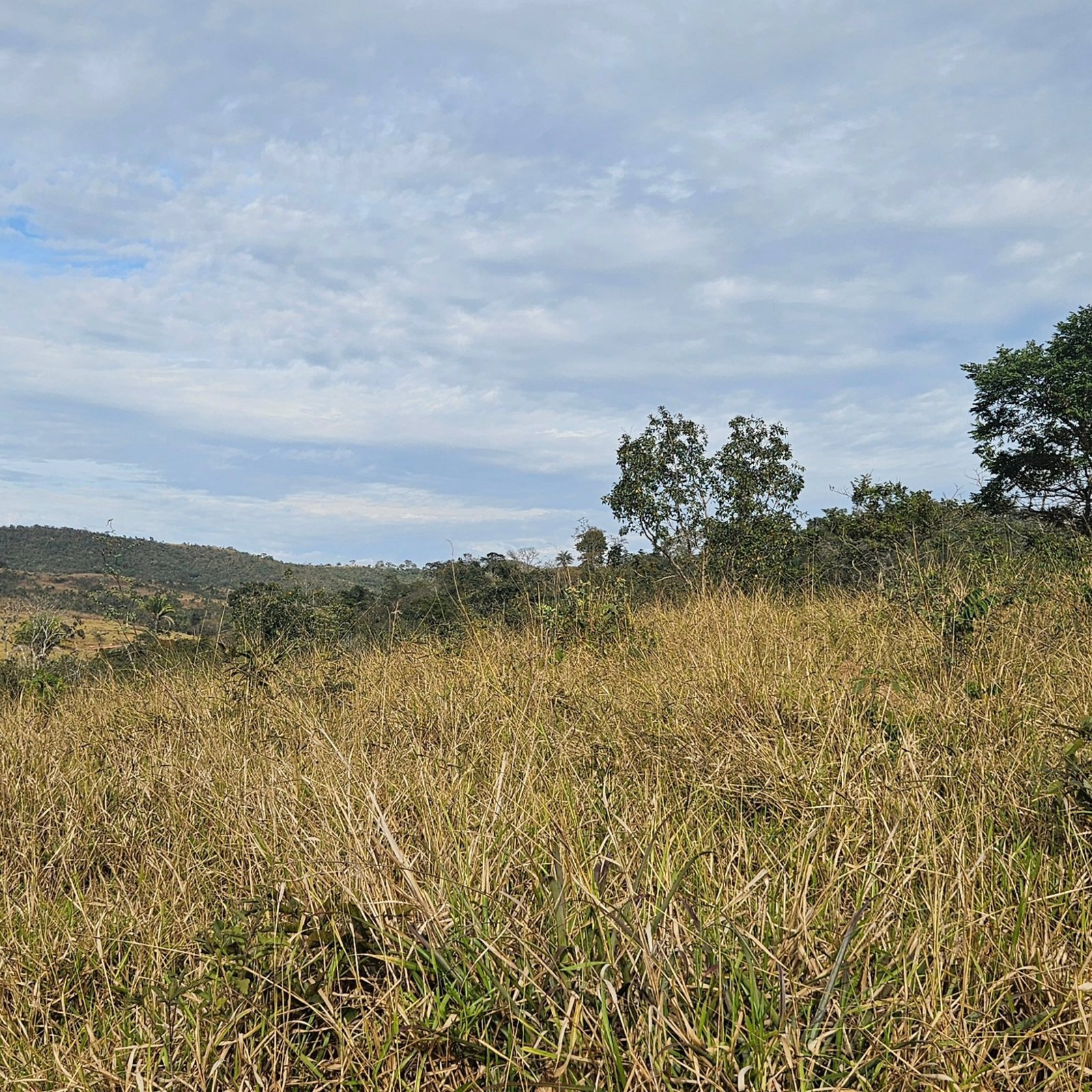 Chácara à venda às margens do Rio São Marcos | Ouvidor-GO | 43,56 hectares - Ouvidor-GO