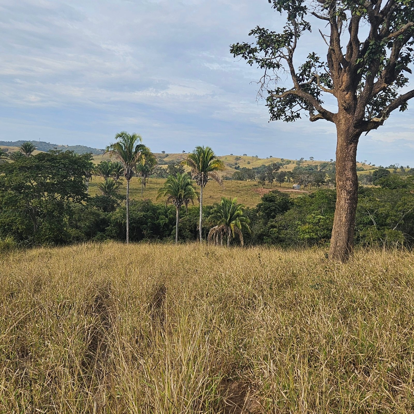 Chácara à venda às margens do Rio São Marcos | Ouvidor-GO | 43,56 hectares - Ouvidor-GO