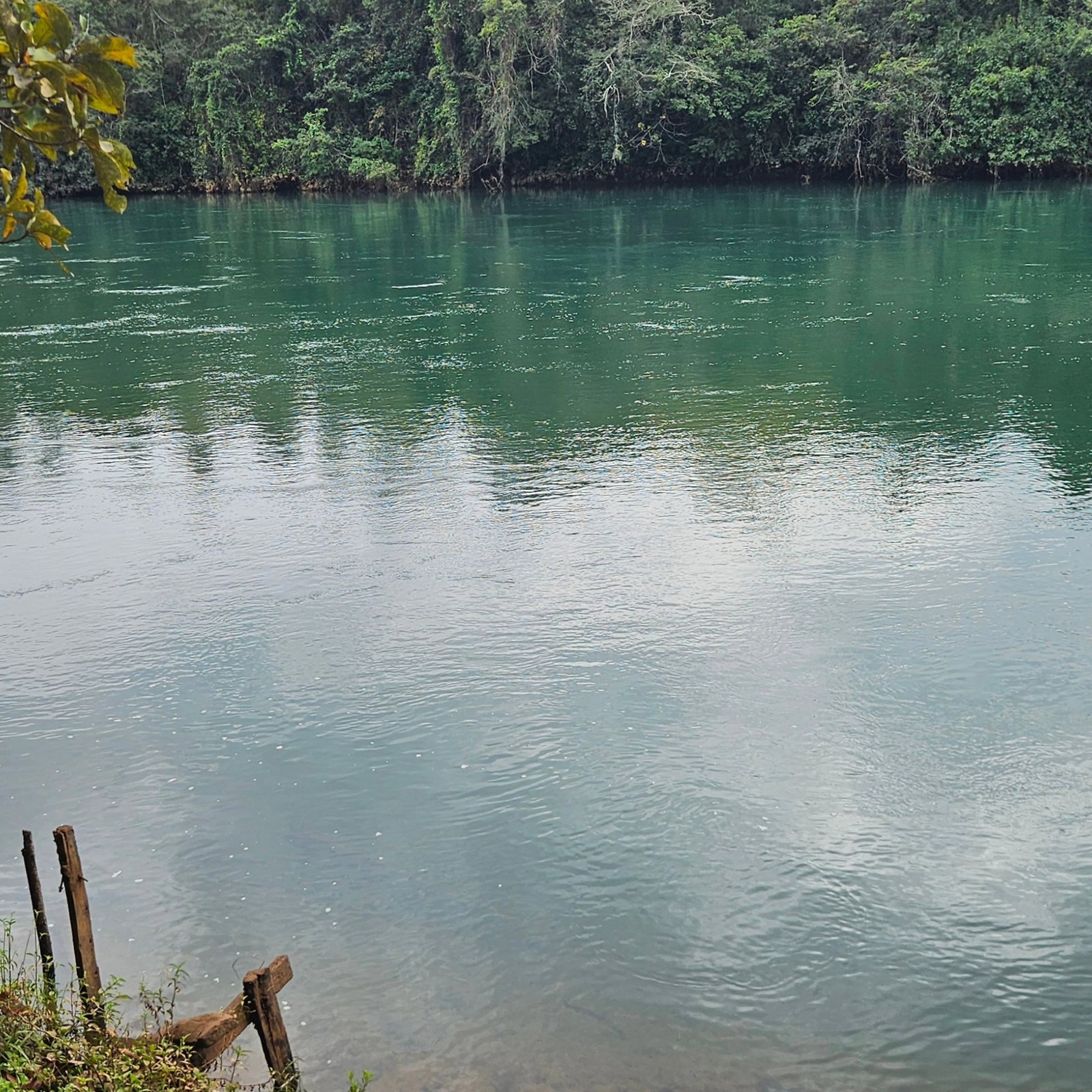 Chácara à venda às margens do Rio São Marcos | Ouvidor-GO | 43,56 hectares - Ouvidor-GO