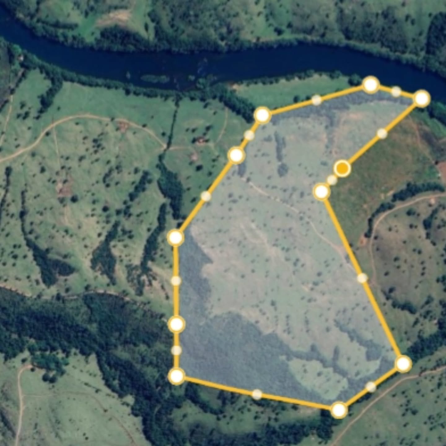 Chácara à venda às margens do Rio São Marcos | Ouvidor-GO | 43,56 hectares - Ouvidor-GO