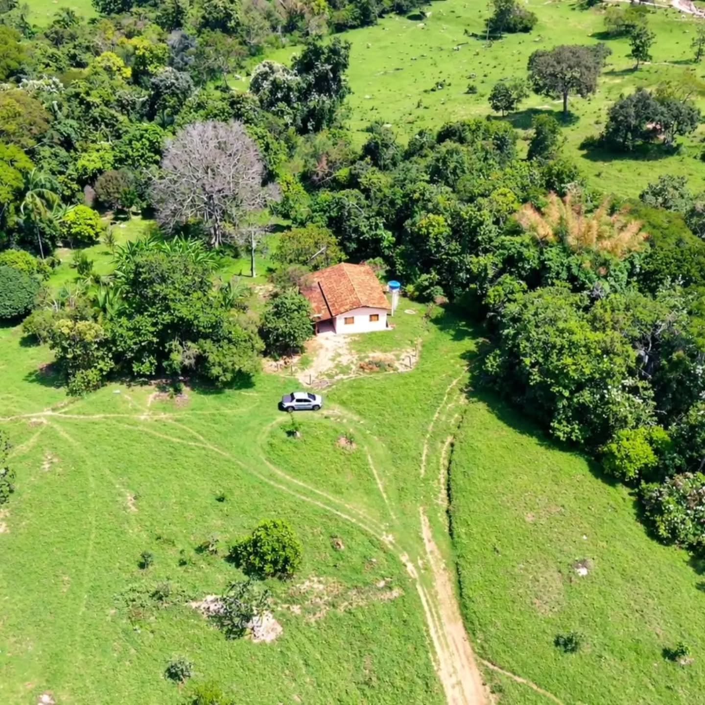 CHÁCARA À VENDA – EXCELENTE OPORTUNIDADE! | 24,20 hectares — foto 4