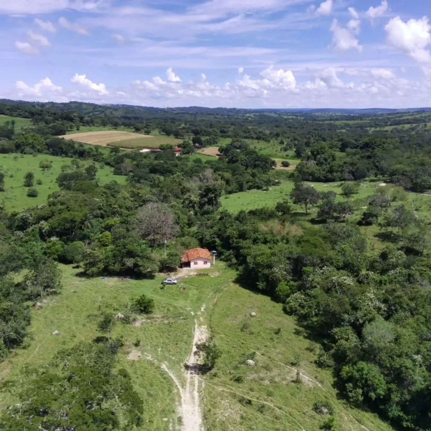 CHÁCARA À VENDA – EXCELENTE OPORTUNIDADE! | 24,20 hectares — foto 6