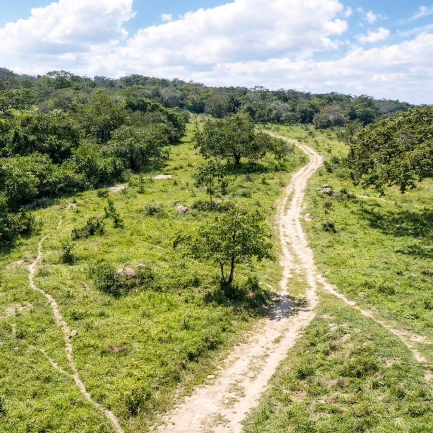 CHÁCARA À VENDA – EXCELENTE OPORTUNIDADE! | 24,20 hectares — foto 7