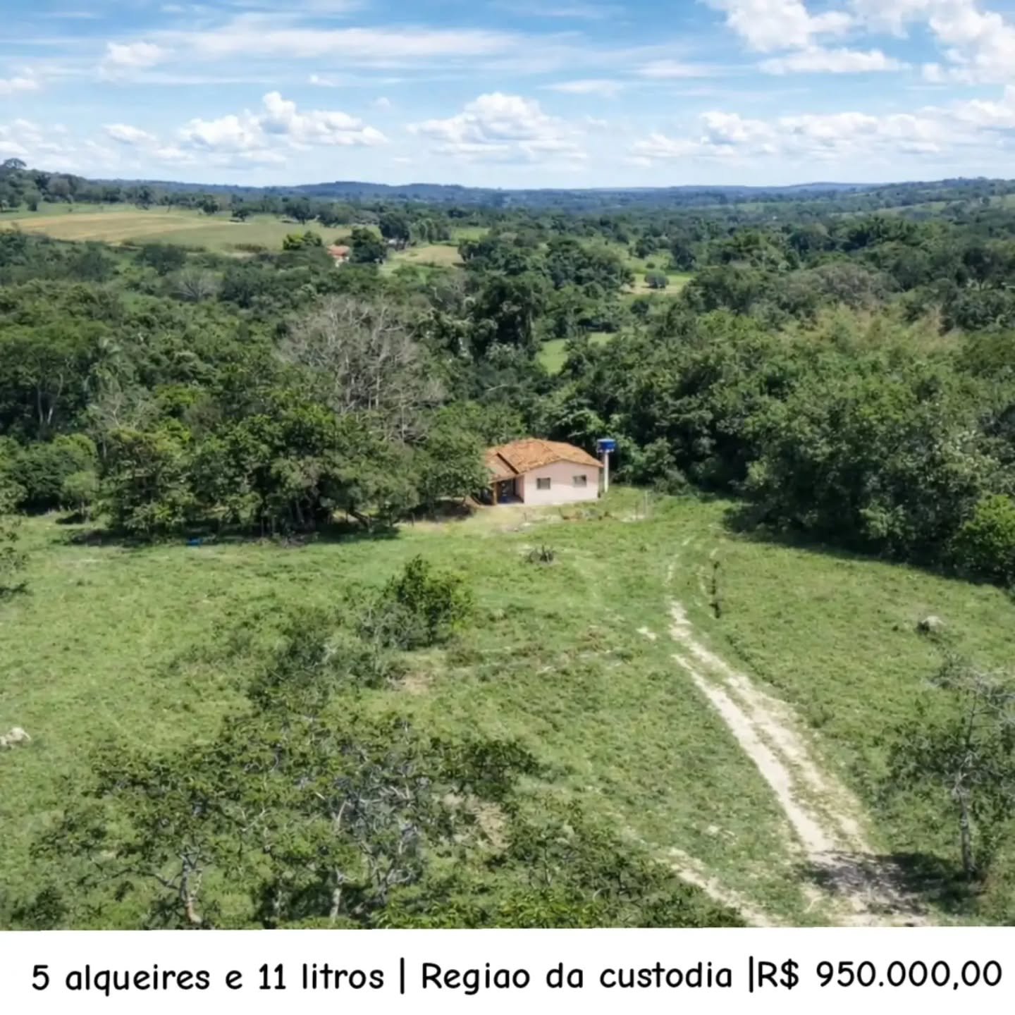 CHÁCARA À VENDA – EXCELENTE OPORTUNIDADE! | 24,20 hectares — foto 8