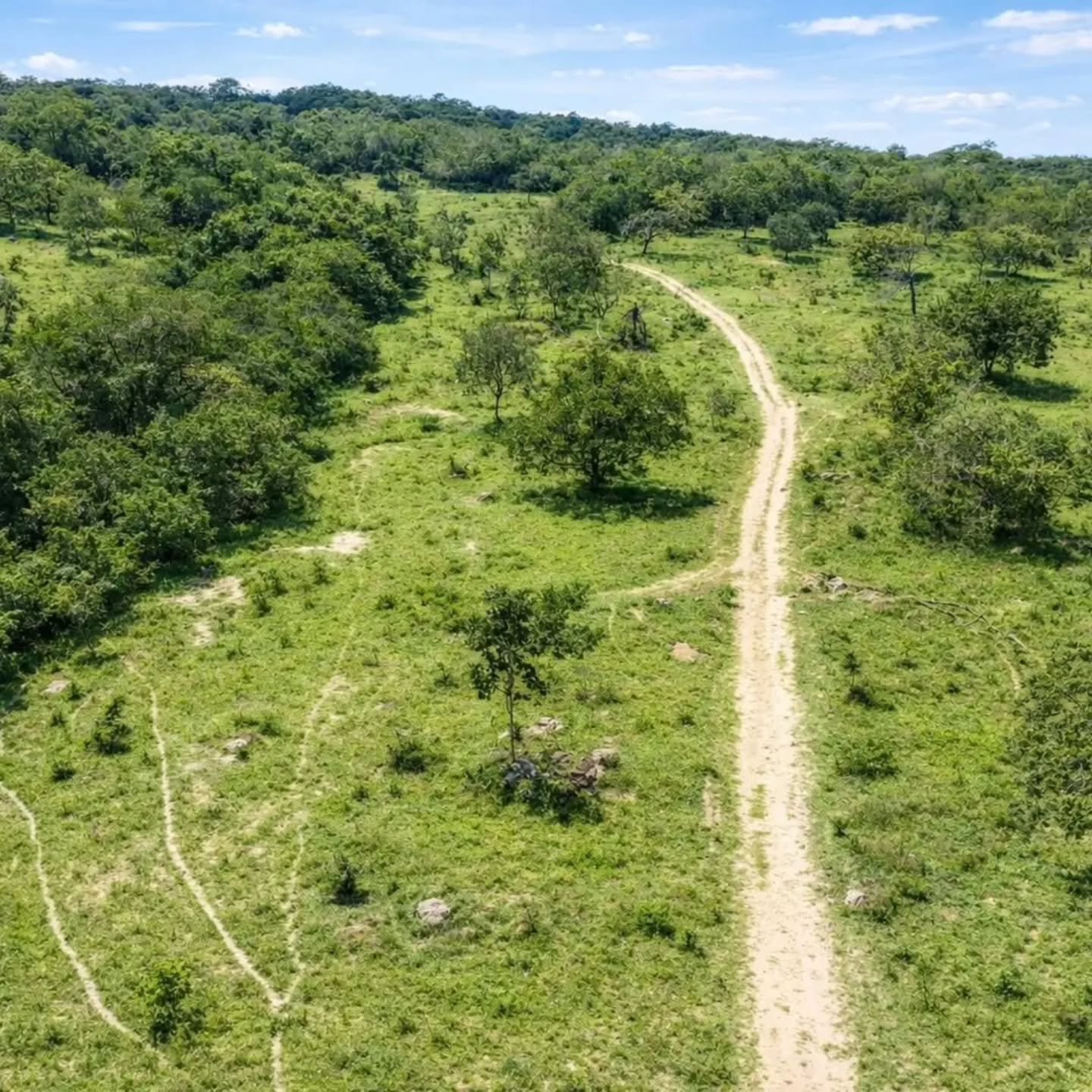 CHÁCARA À VENDA – EXCELENTE OPORTUNIDADE! | 24,20 hectares — foto 11