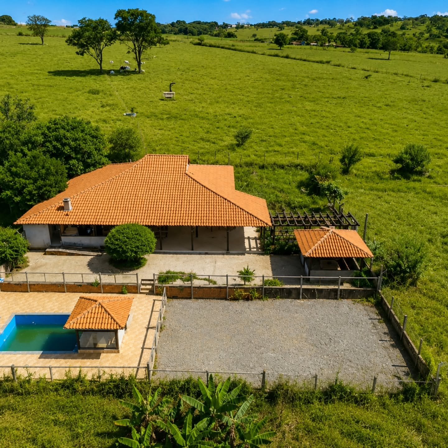 CHÁCARA À VENDA – 6 HECTARES | Catalão-GO — foto 3