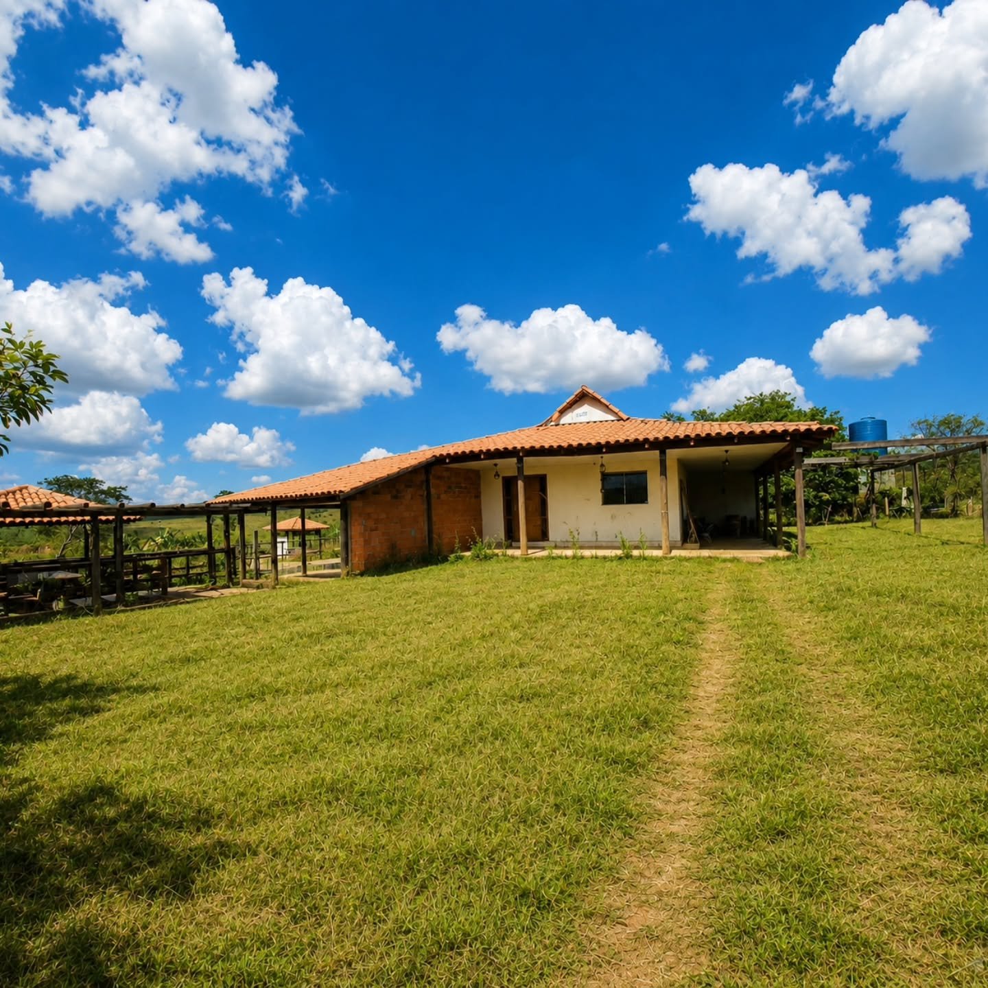 CHÁCARA À VENDA – 6 HECTARES | Catalão-GO — foto 5