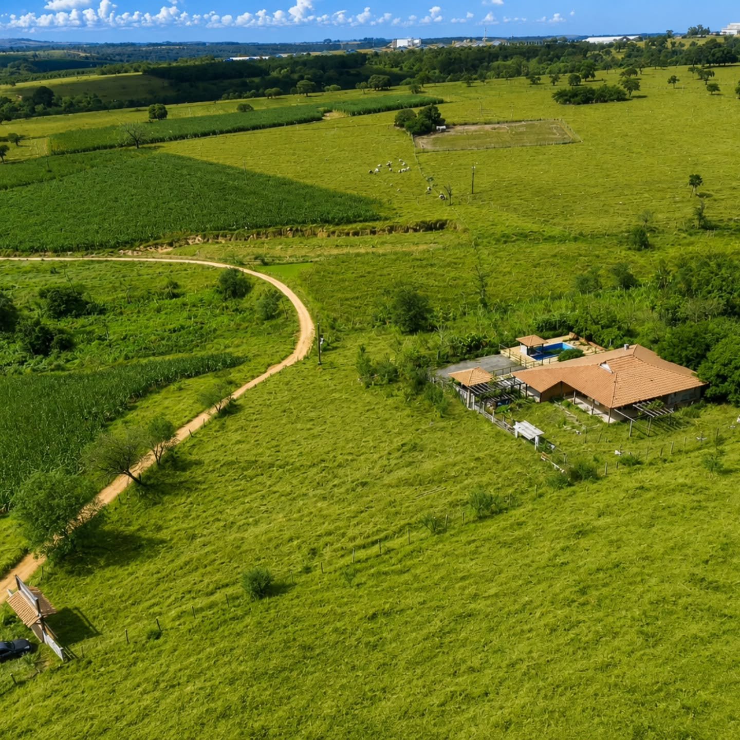 CHÁCARA À VENDA – 6 HECTARES | Catalão-GO — foto 7