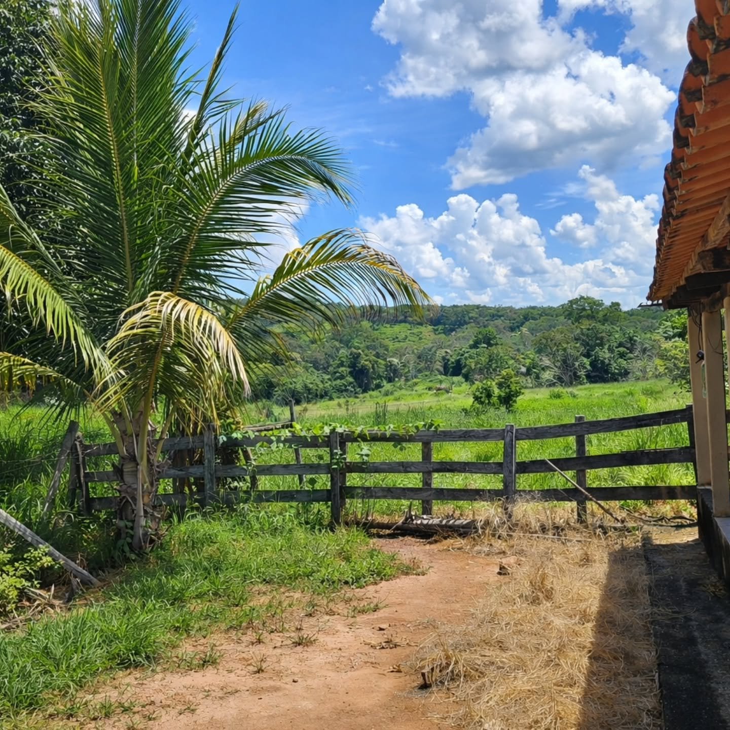 HÁCARA À VENDA – OPORTUNIDADE EM Catalão / GO! | Catalão-GO | 4,84 hectares — foto 1