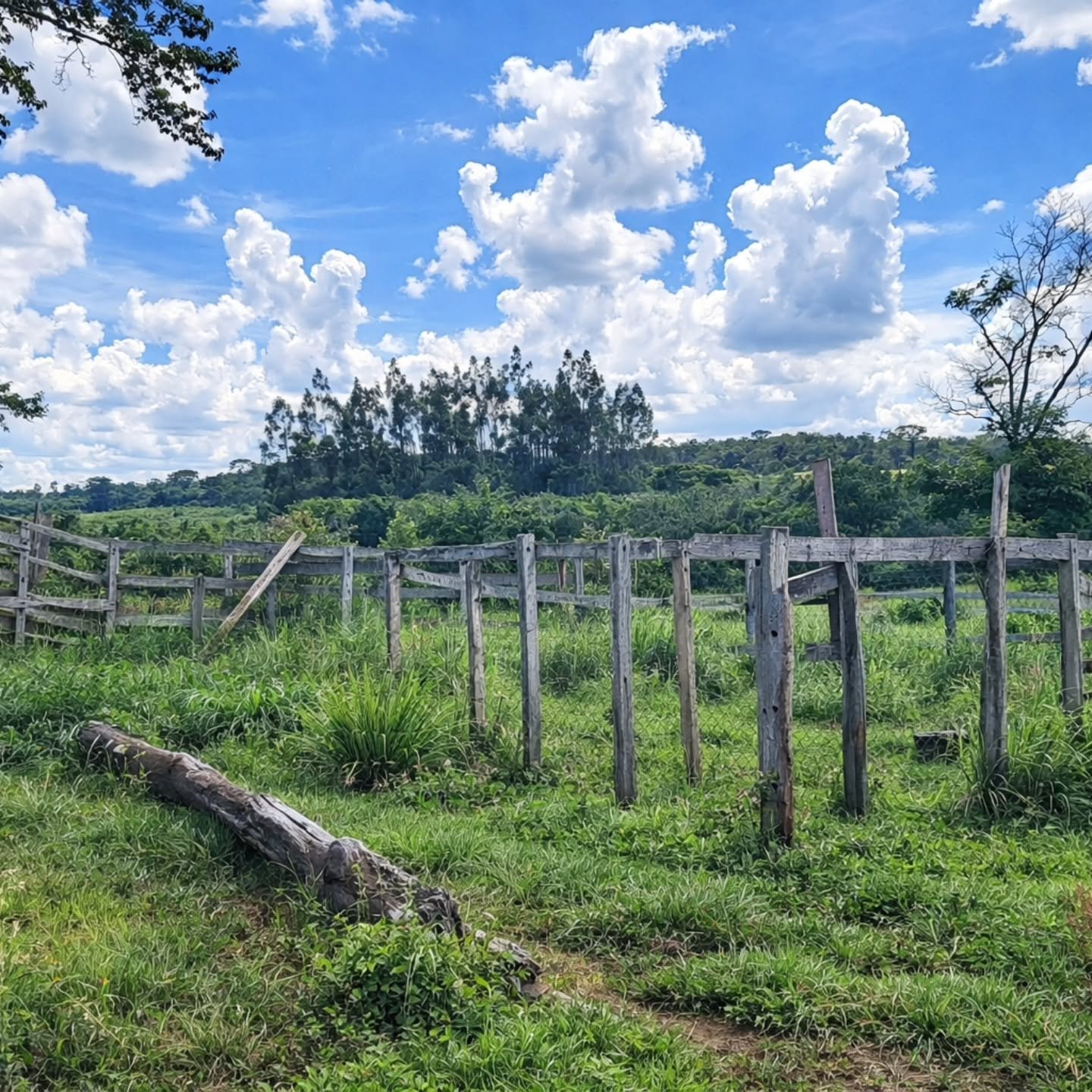 HÁCARA À VENDA – OPORTUNIDADE EM Catalão / GO! | Catalão-GO | 4,84 hectares — foto 2
