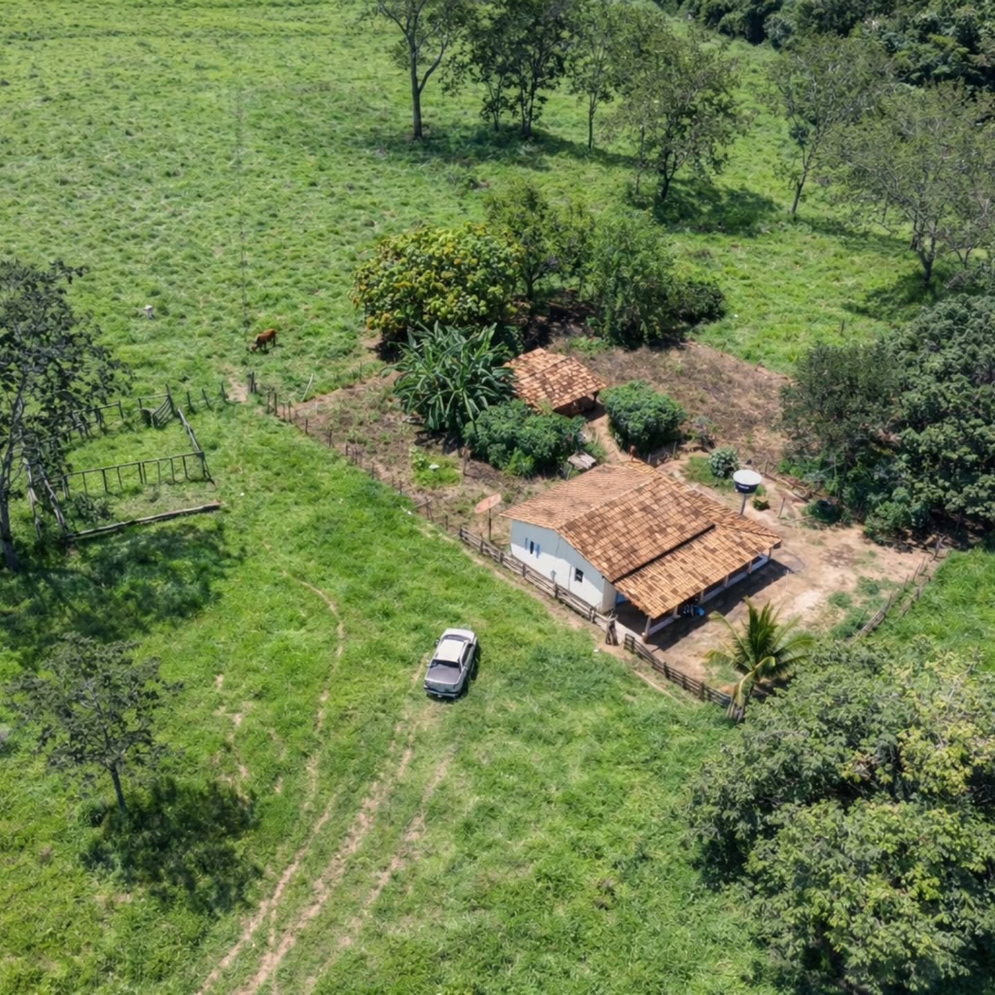 HÁCARA À VENDA – OPORTUNIDADE EM Catalão / GO! | Catalão-GO | 4,84 hectares — foto 3