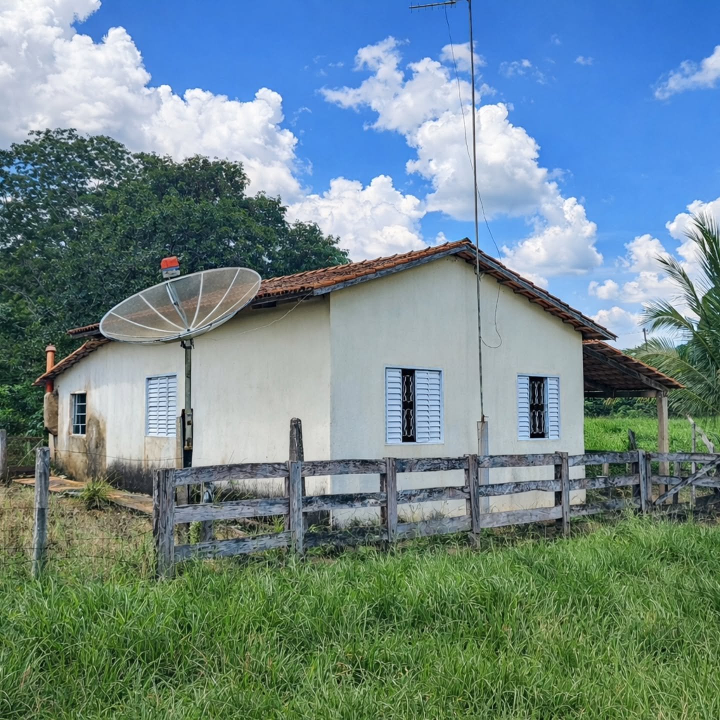 HÁCARA À VENDA – OPORTUNIDADE EM Catalão / GO! | Catalão-GO | 4,84 hectares — foto 7