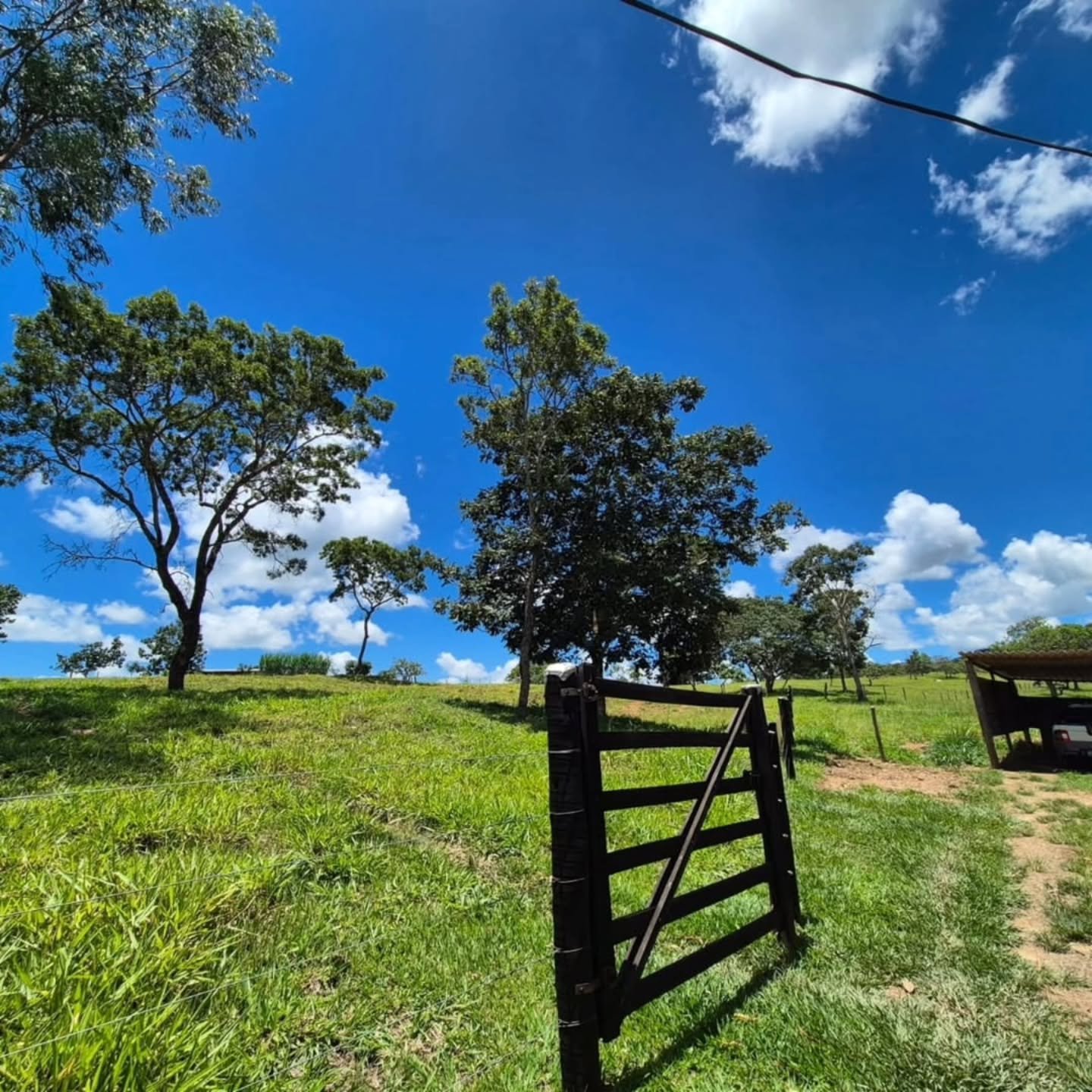 FAZENDA À VENDA – Catalão/GO | Catalão-GO | 30,9 hectares — foto 6
