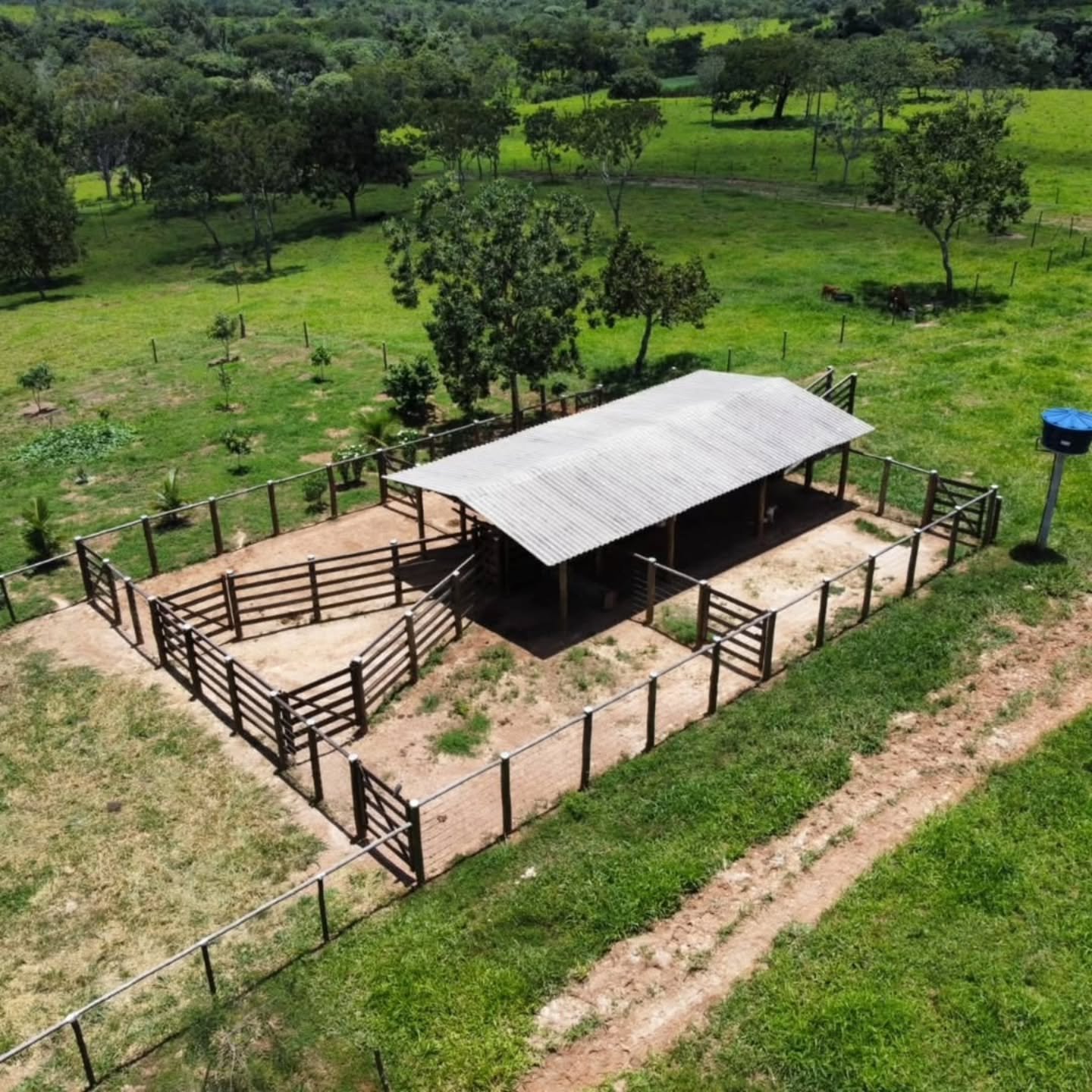 FAZENDA À VENDA – Catalão/GO | Catalão-GO | 30,9 hectares — foto 7