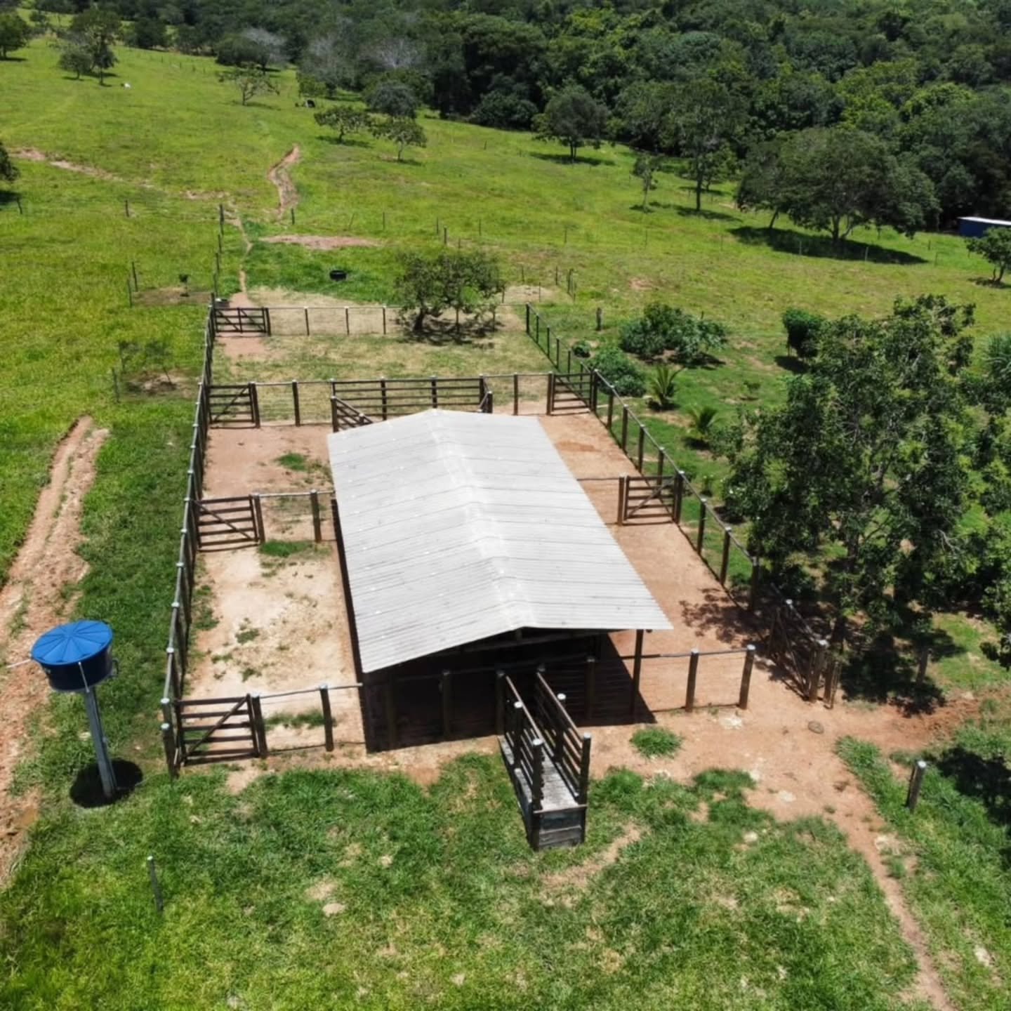 FAZENDA À VENDA – Catalão/GO | Catalão-GO | 30,9 hectares — foto 9