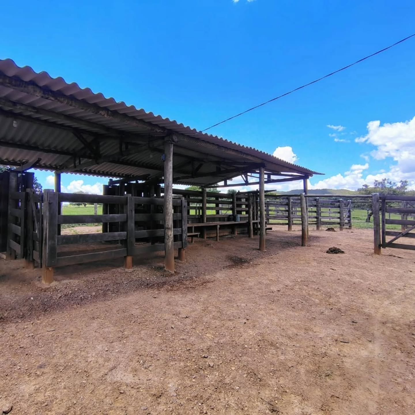 FAZENDA À VENDA – Catalão/GO | Catalão-GO | 30,9 hectares — foto 10