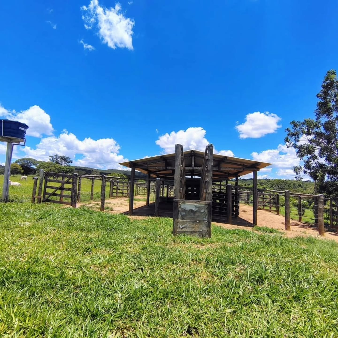FAZENDA À VENDA – Catalão/GO | Catalão-GO | 30,9 hectares — foto 12