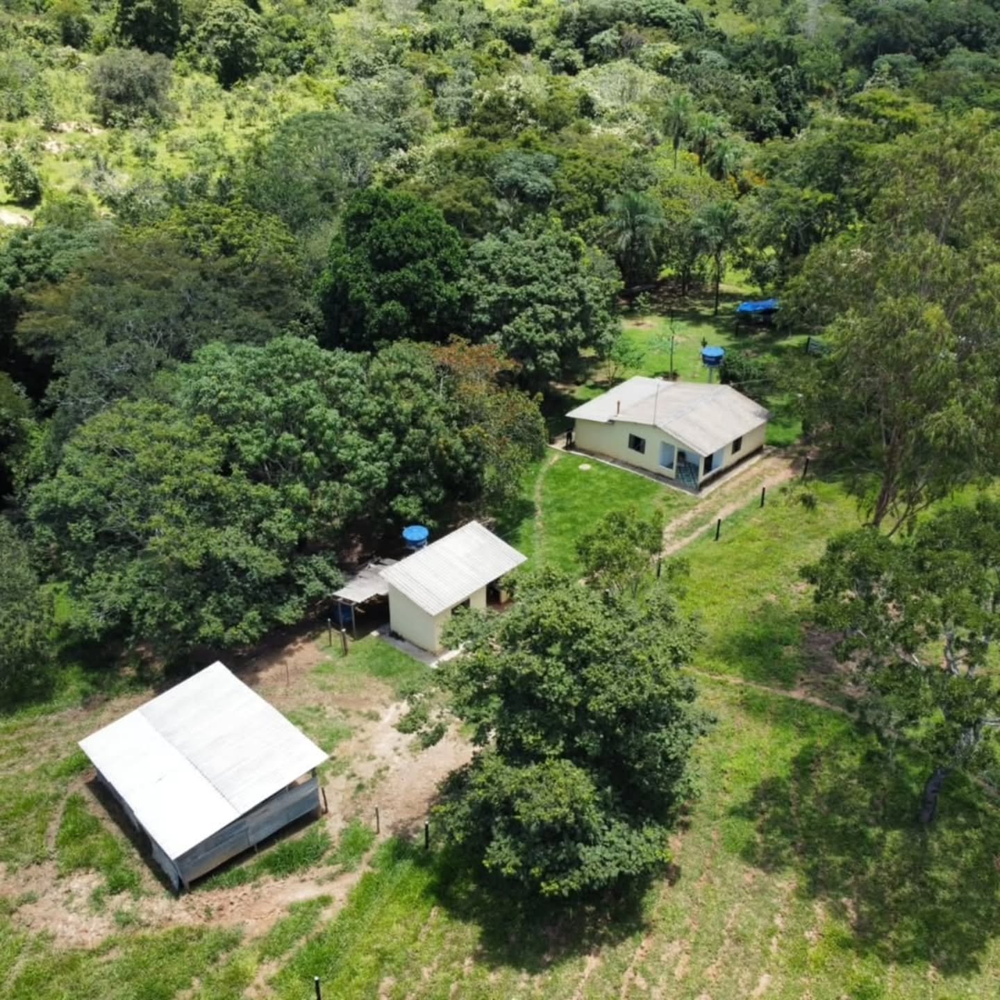 FAZENDA À VENDA – Catalão/GO | Catalão-GO | 30,9 hectares — foto 14