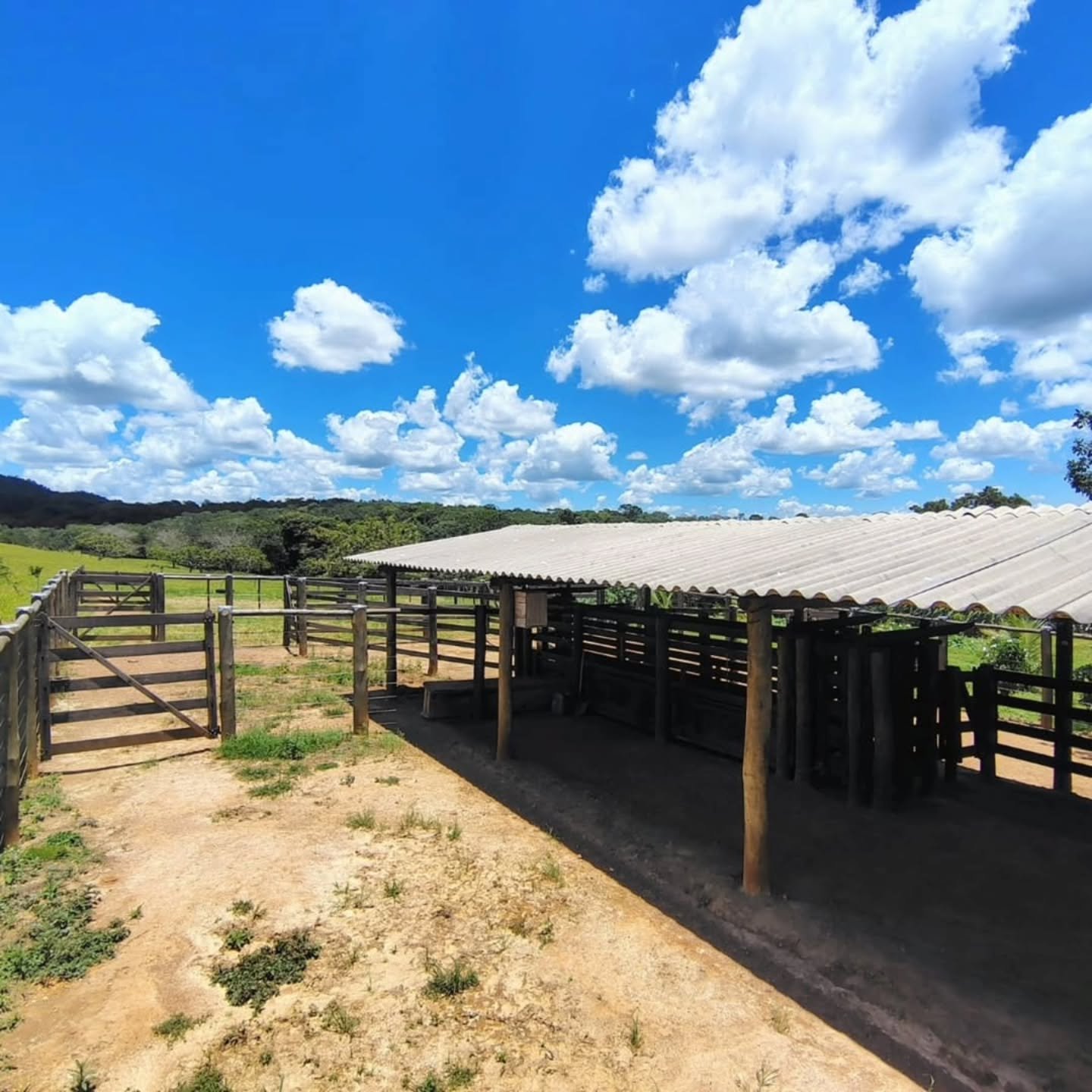 FAZENDA À VENDA – Catalão/GO | Catalão-GO | 30,9 hectares — foto 15
