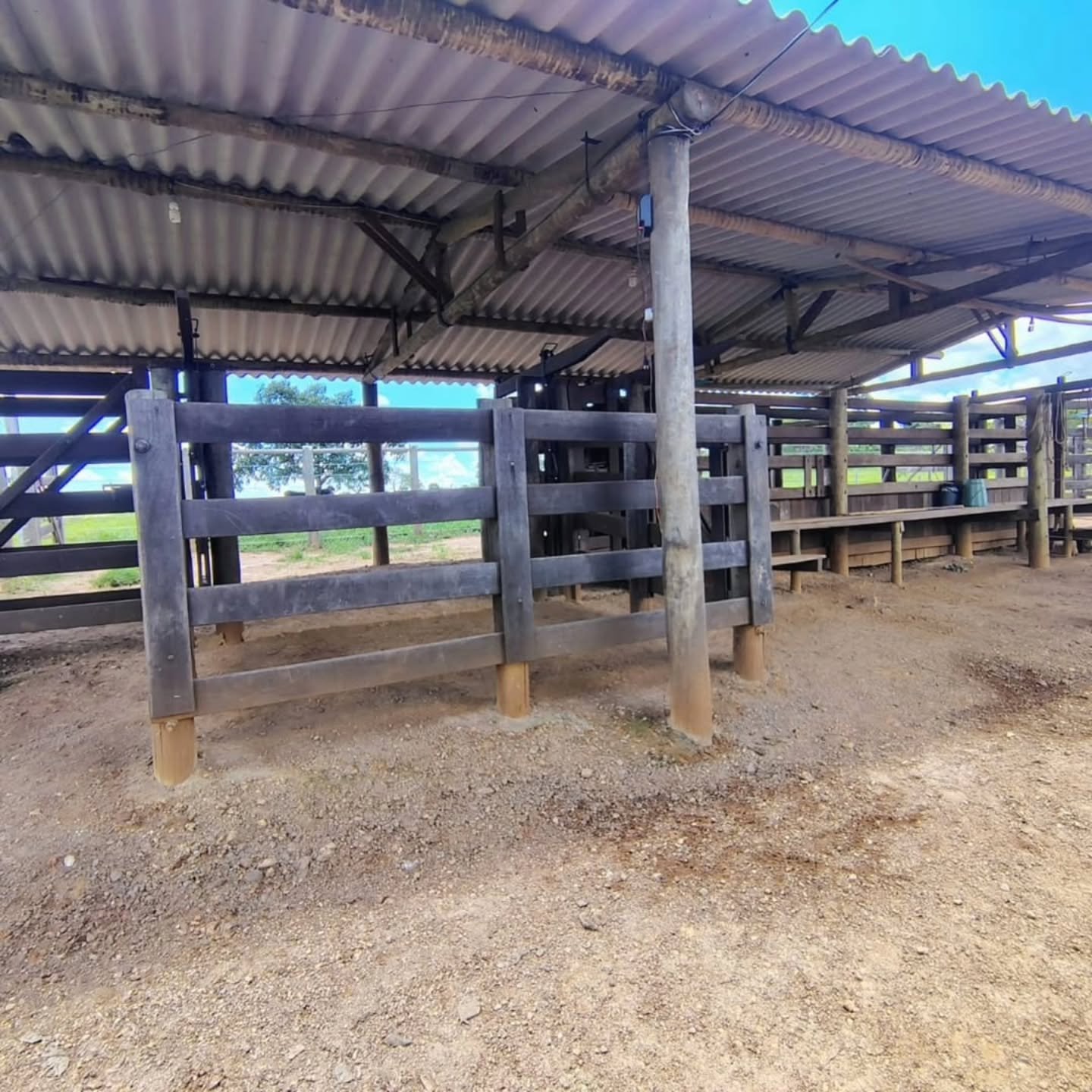 FAZENDA À VENDA – Catalão/GO | Catalão-GO | 30,9 hectares — foto 17