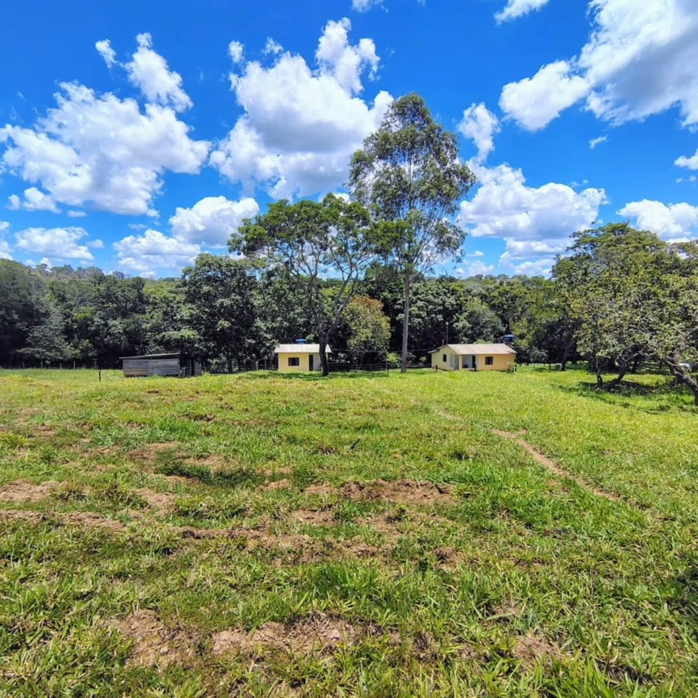 FAZENDA À VENDA – Catalão/GO | Catalão-GO | 30,9 hectares — foto 19