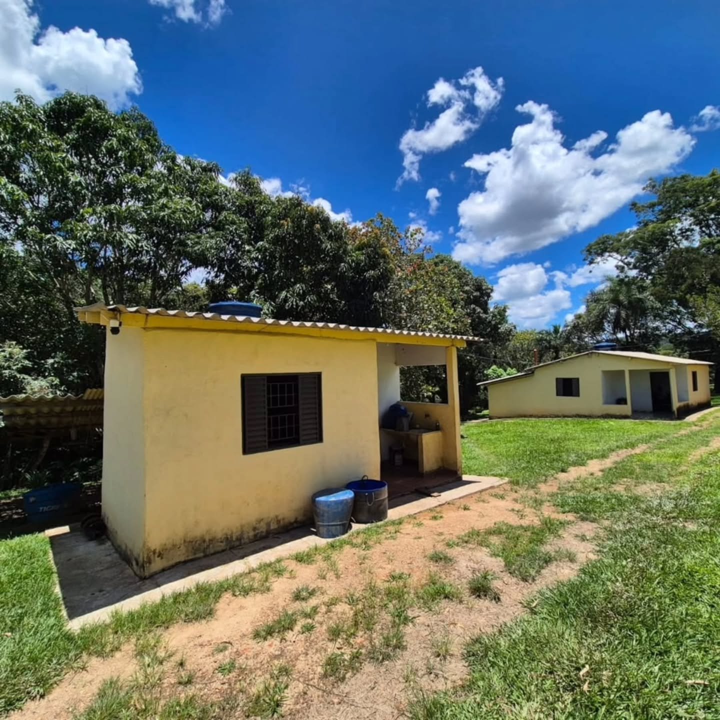 FAZENDA À VENDA – Catalão/GO | Catalão-GO | 30,9 hectares — foto 20