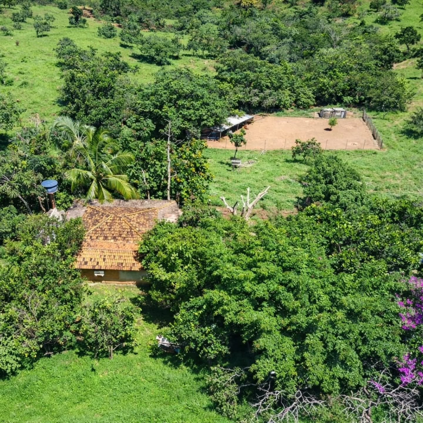 CHÁCARA À VENDA – OPORTUNIDADE! | Catalão-GO | 9,68 hectares — foto 1