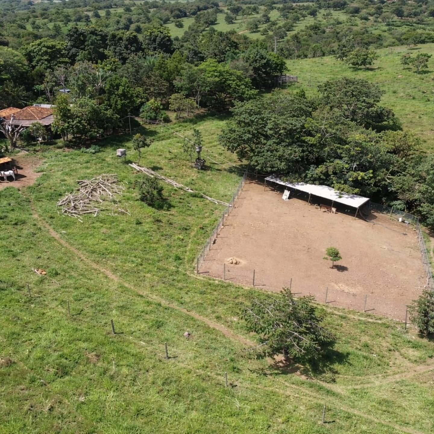 CHÁCARA À VENDA – OPORTUNIDADE! | Catalão-GO | 9,68 hectares — foto 3