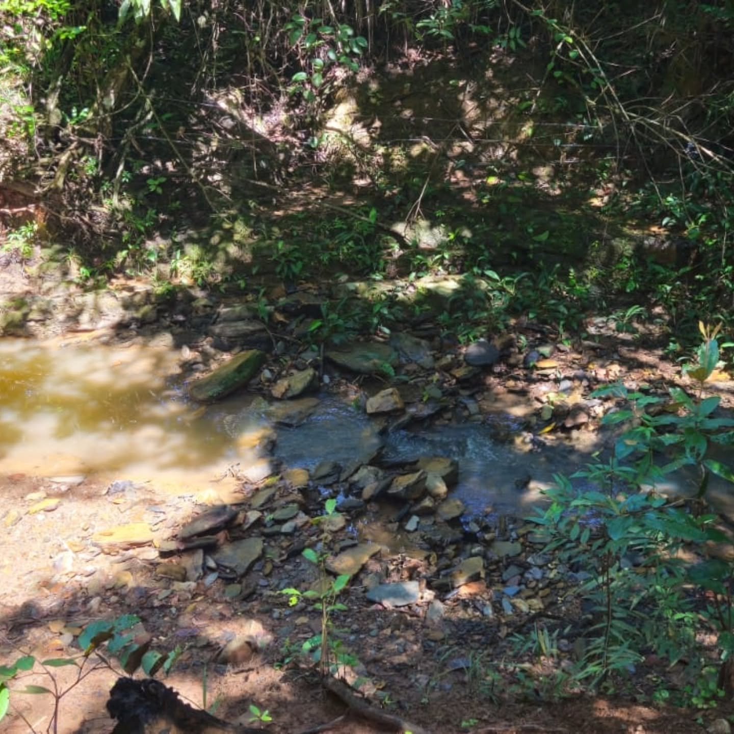 CHÁCARA À VENDA – OPORTUNIDADE! | Catalão-GO | 9,68 hectares — foto 4